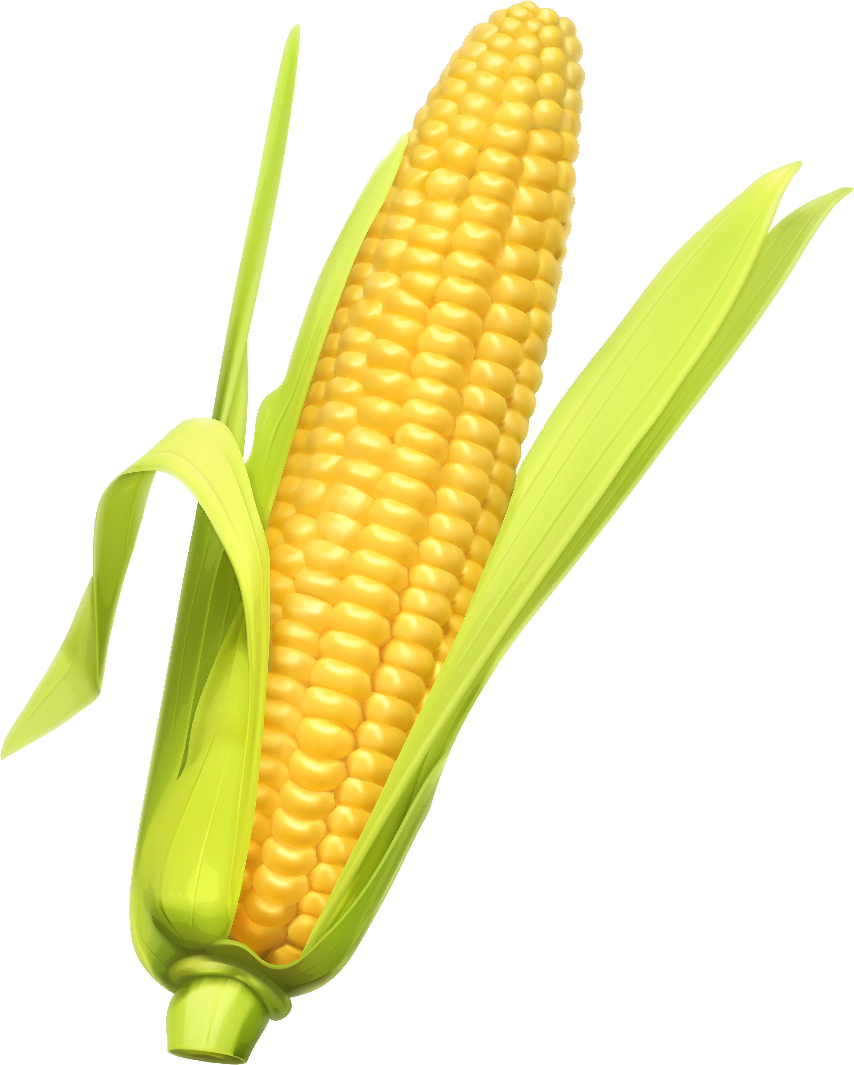 Corn Wallpapers