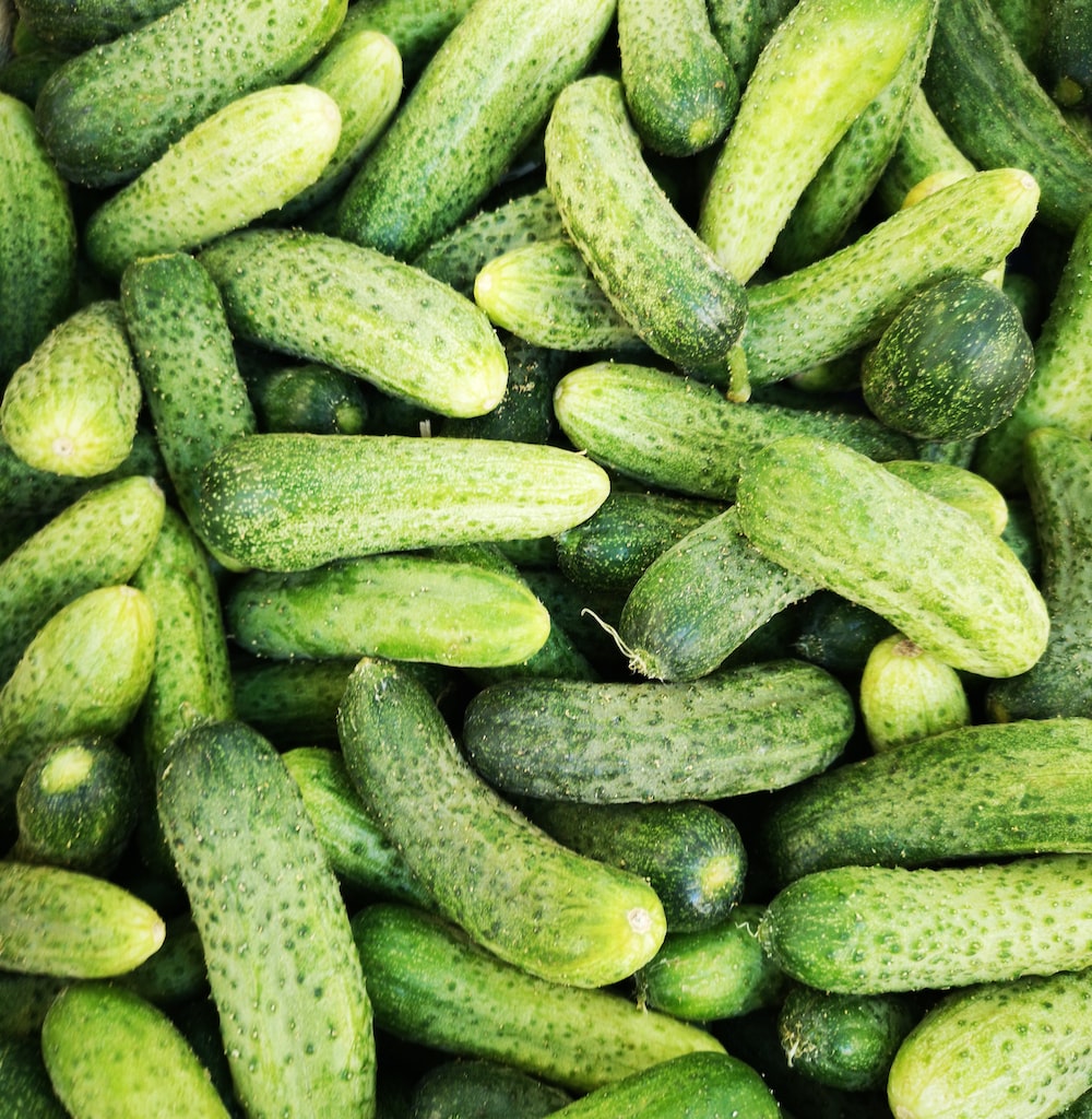 Cucumber Wallpapers