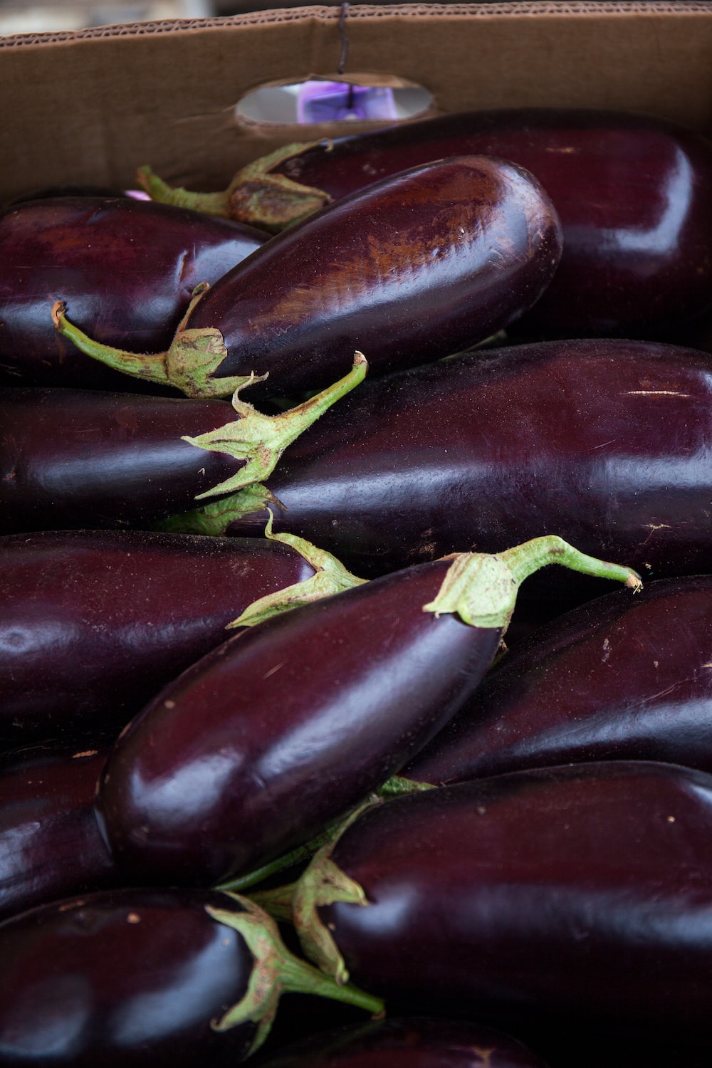 Eggplant Wallpapers