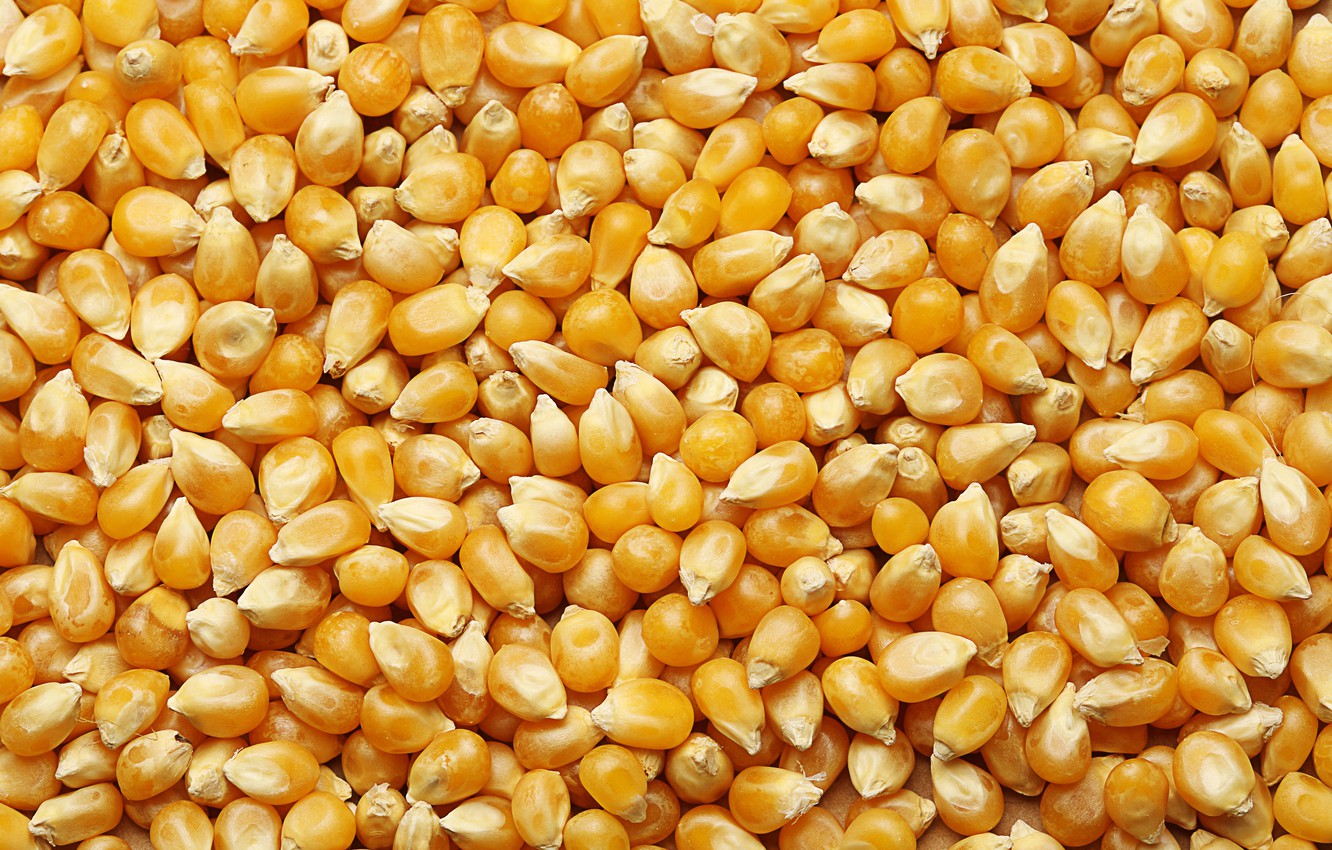 Grains Wallpapers