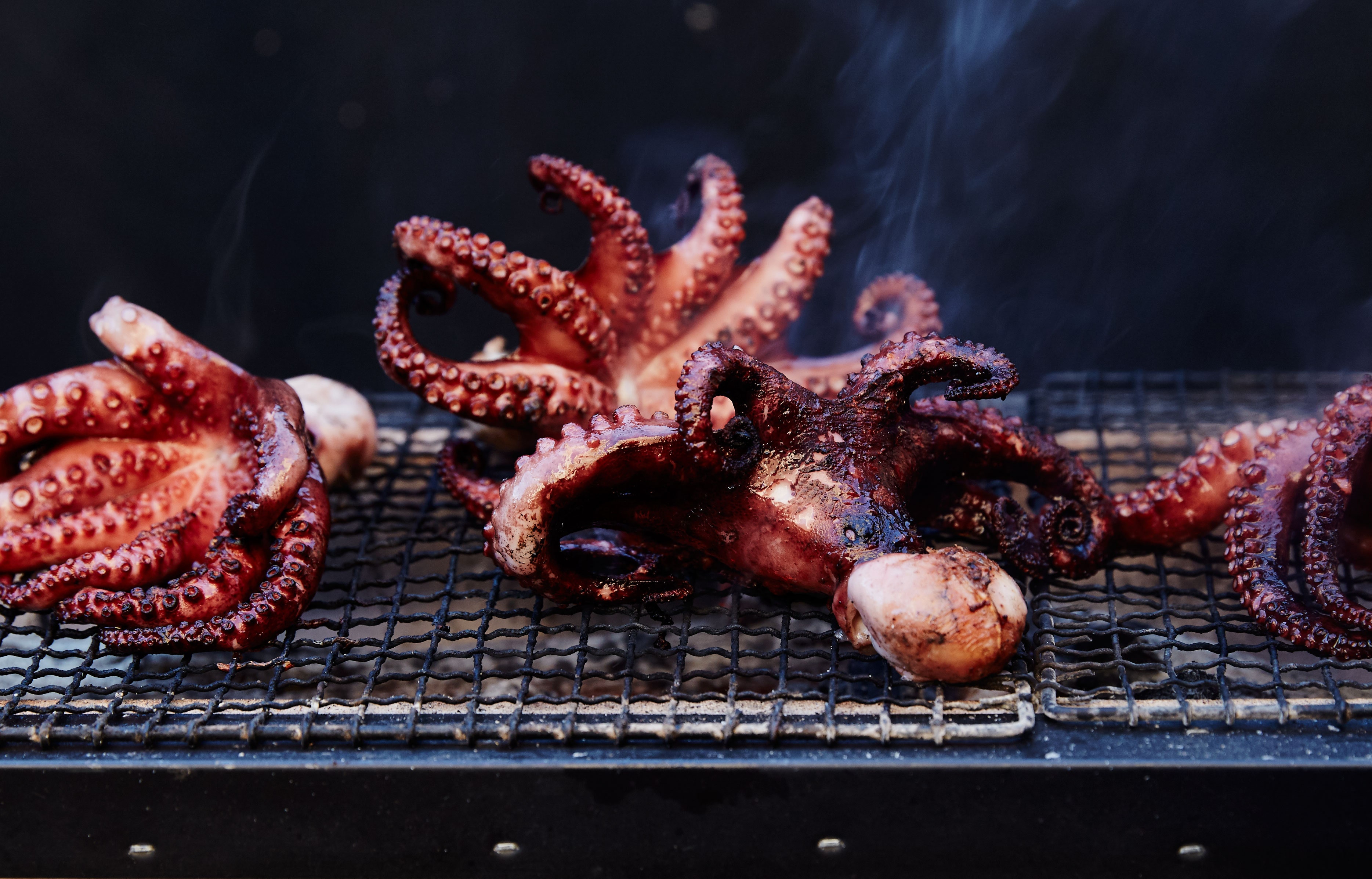 Grilled Octopus Wallpapers