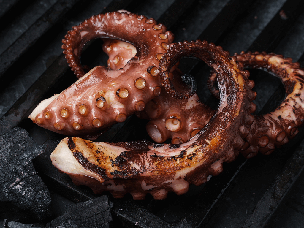 Grilled Octopus Wallpapers