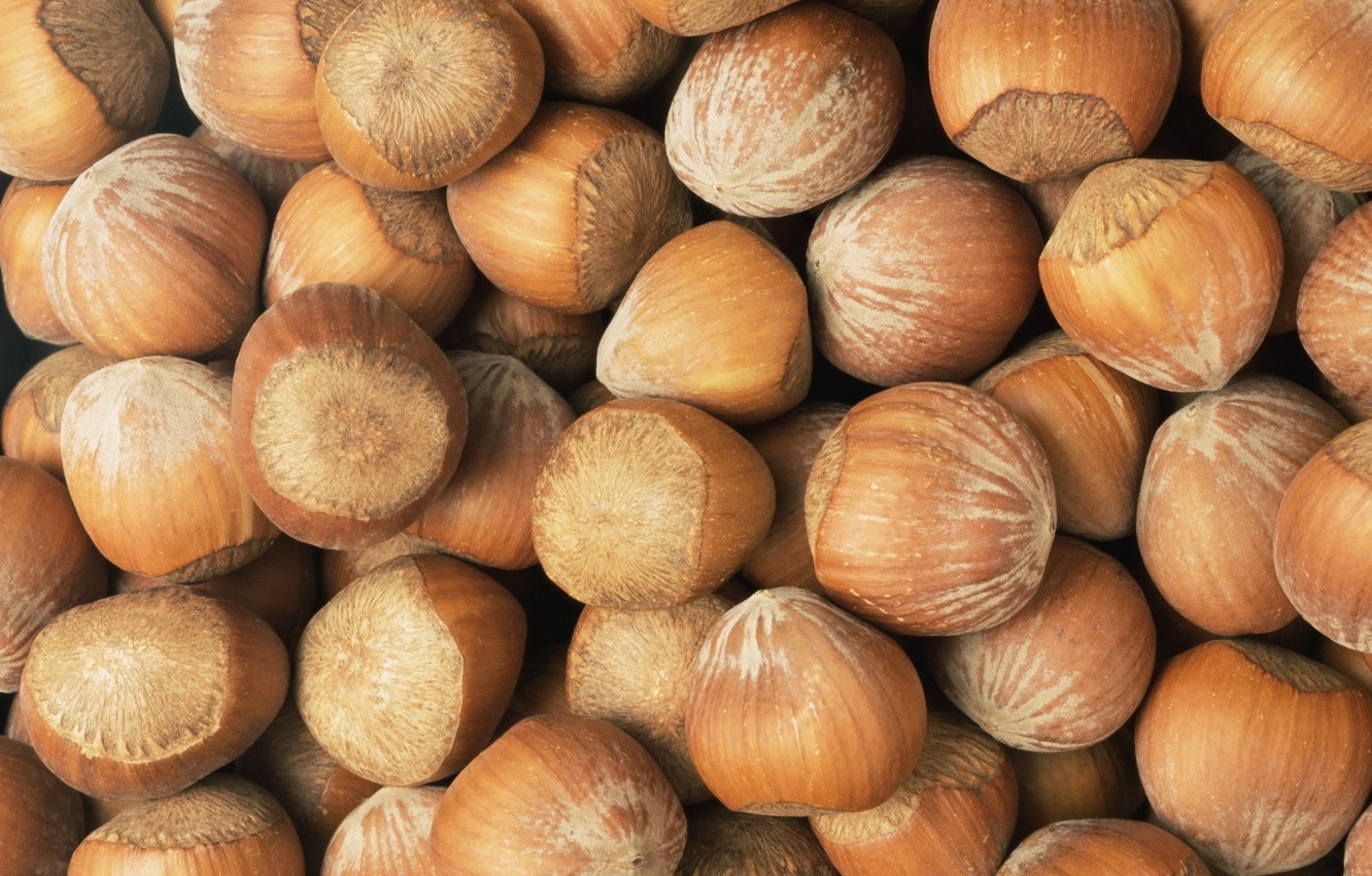 Hazelnut Wallpapers