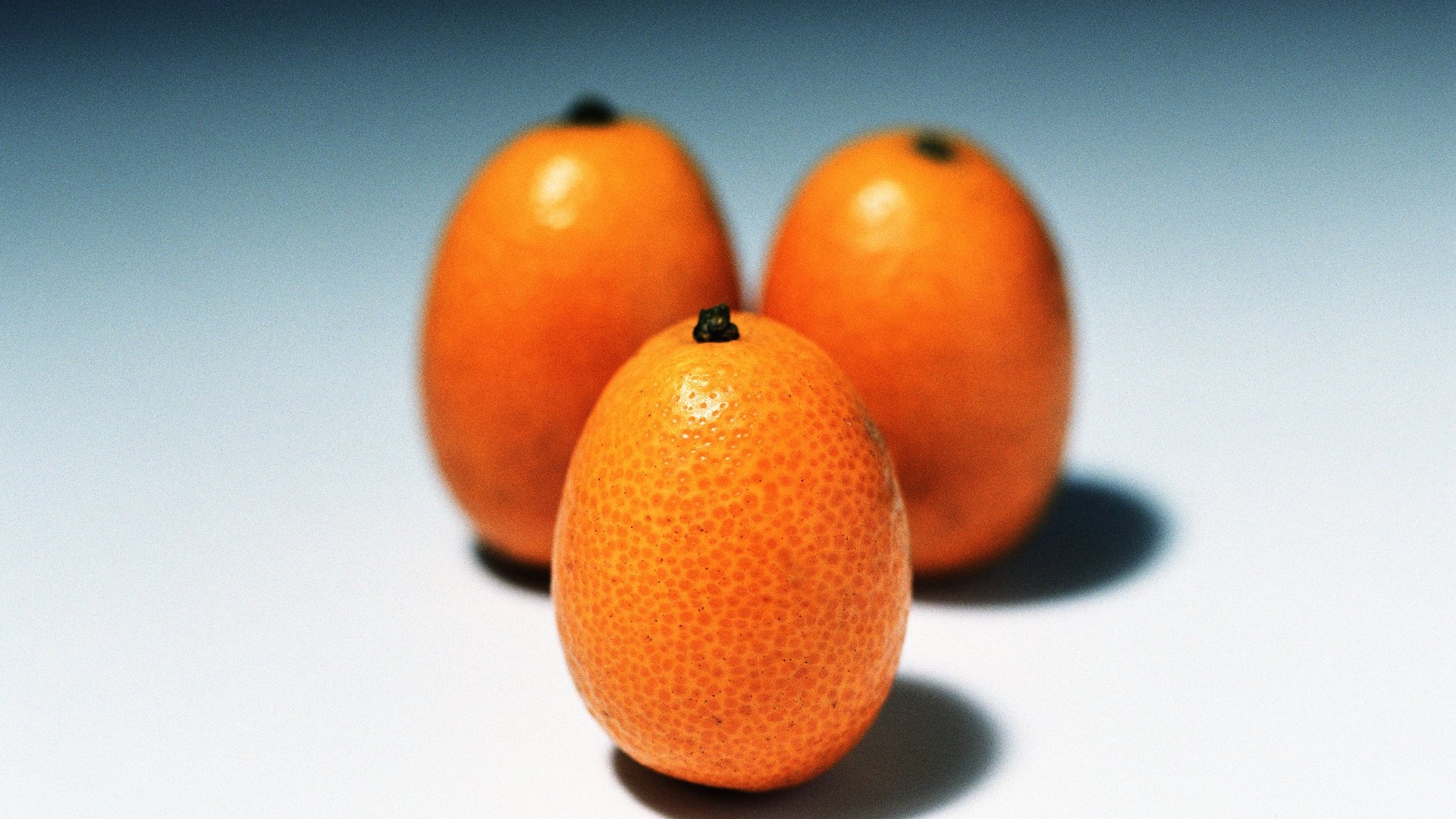 Kumquat Wallpapers