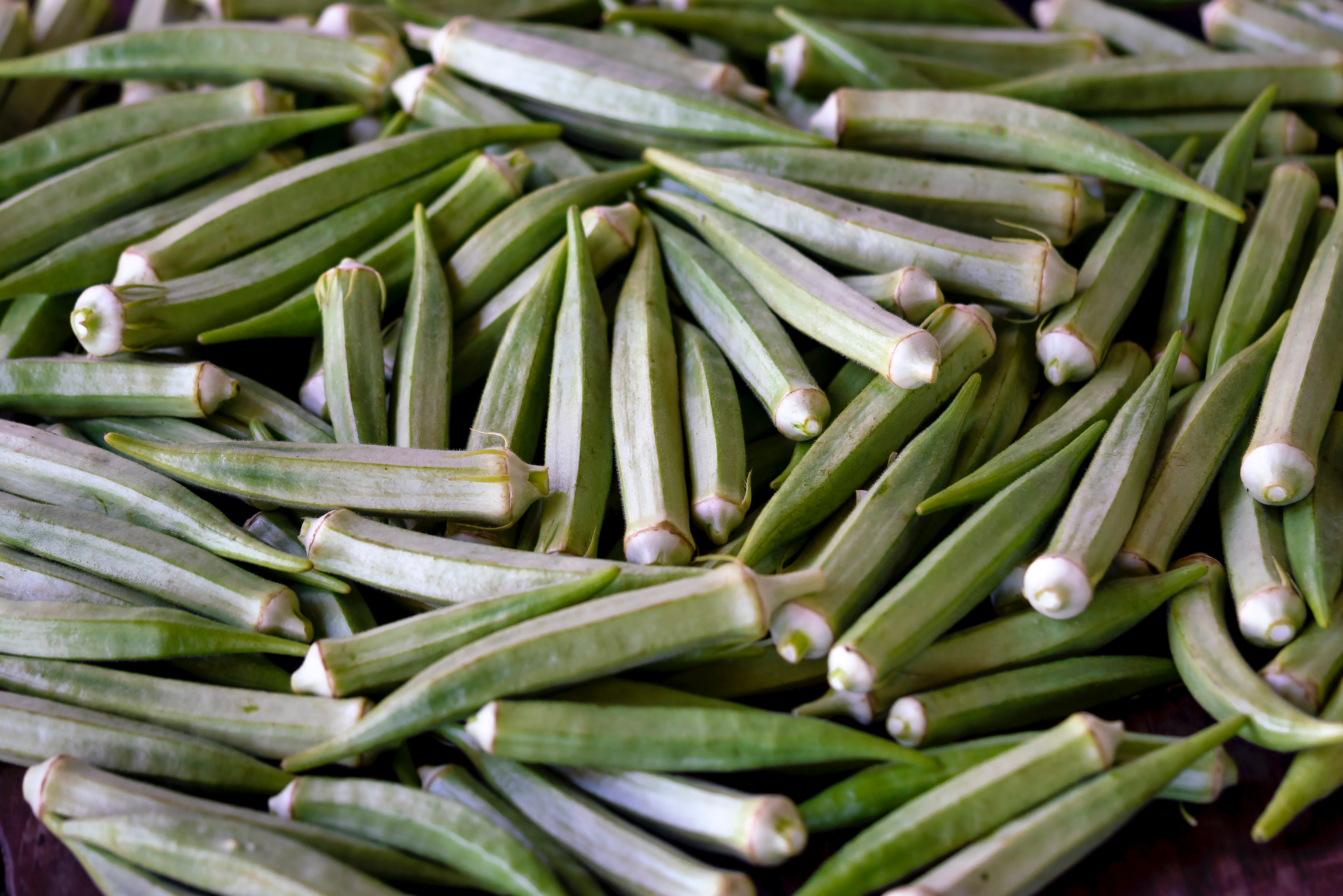 Okra Wallpapers