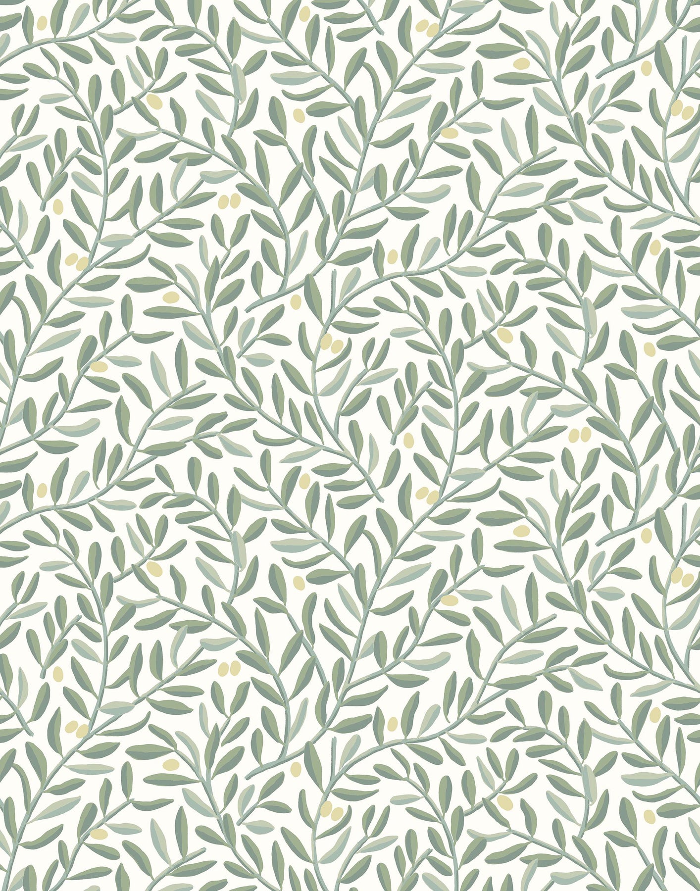 Olive Wallpapers