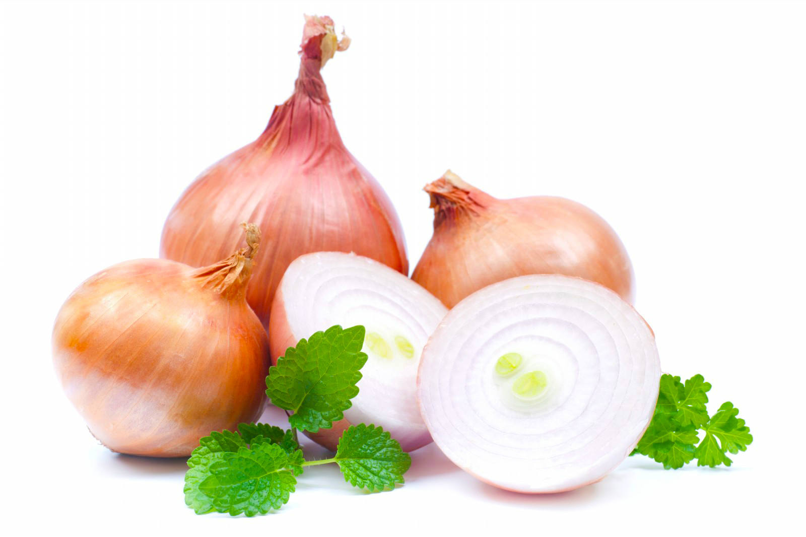 Onion Wallpapers