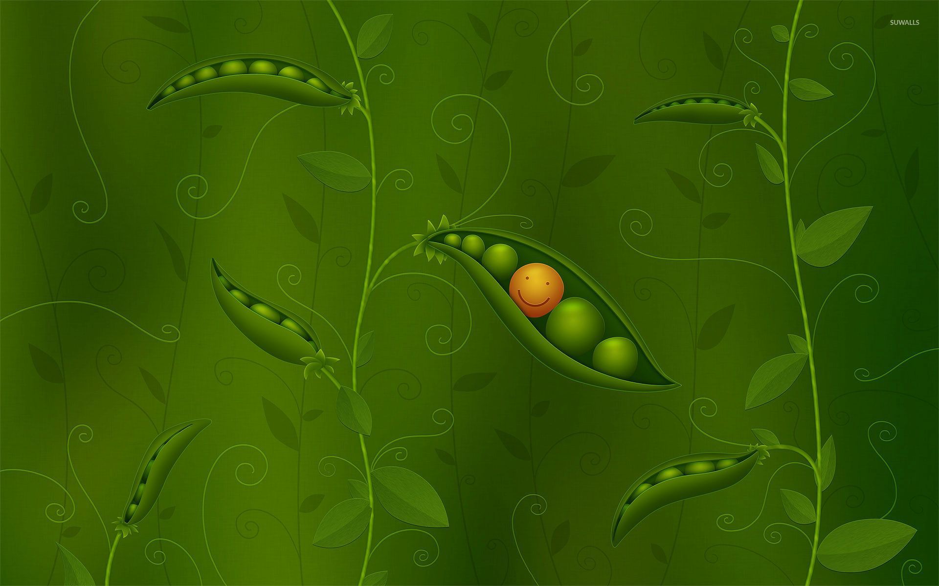 Pea Wallpapers
