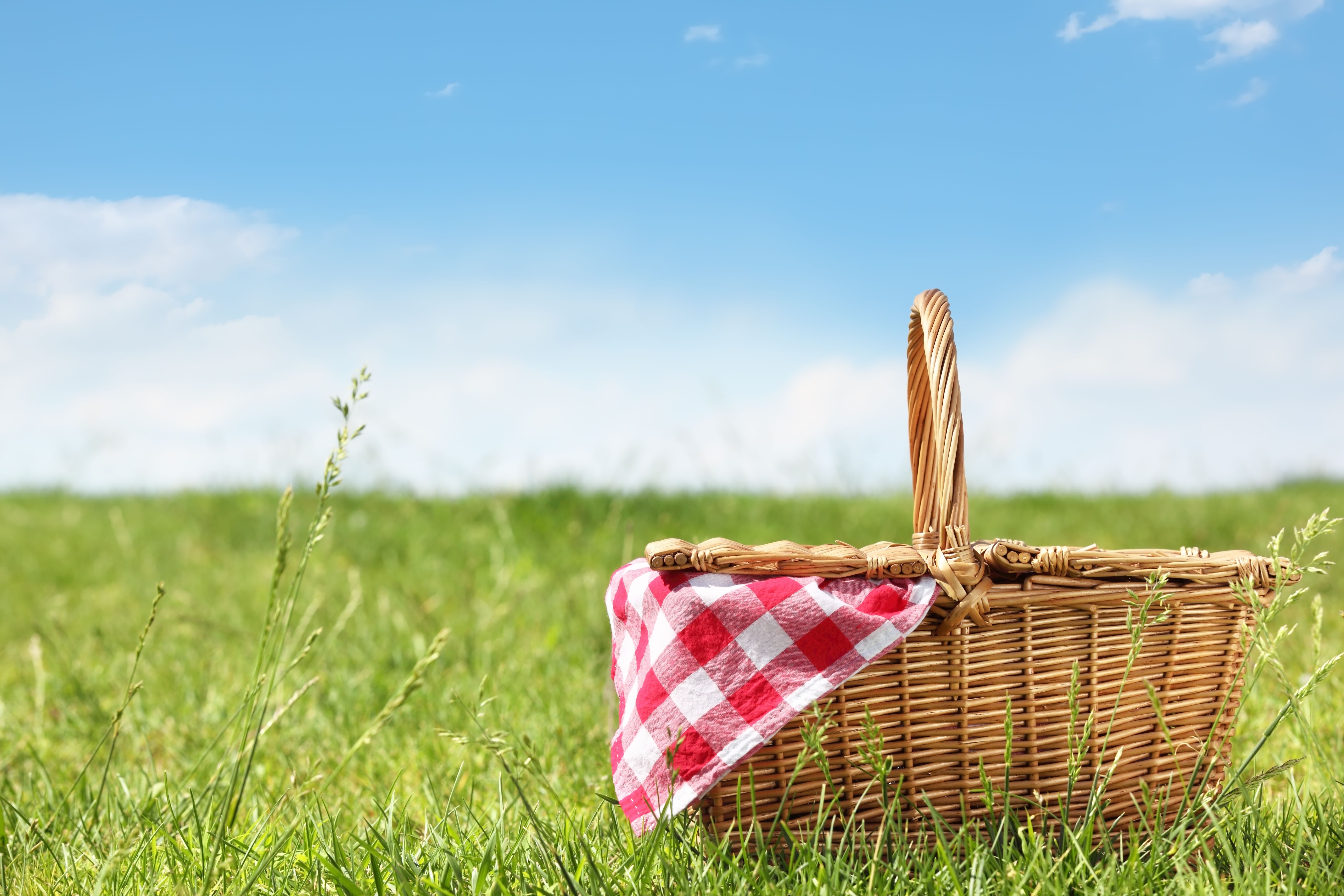 Picnic Wallpapers