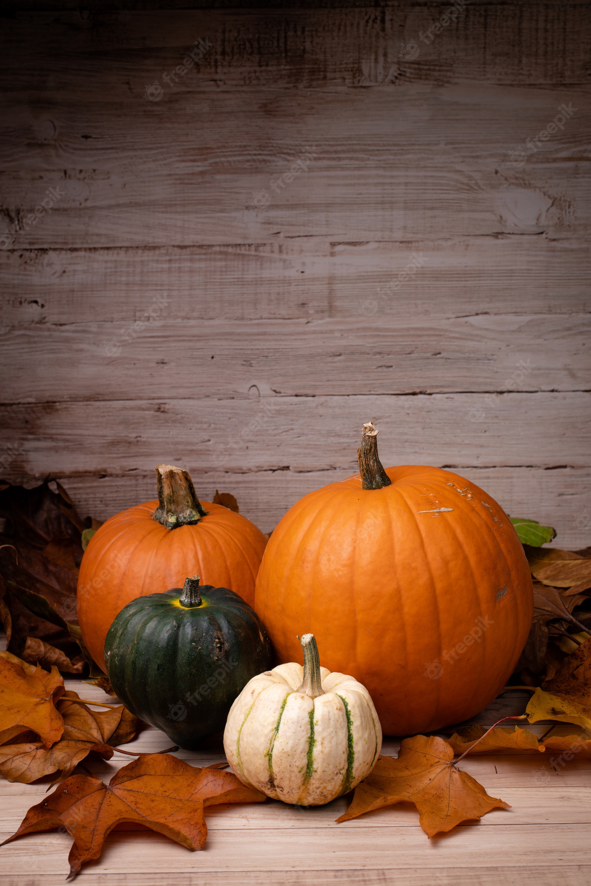 Pumpkin Wallpapers