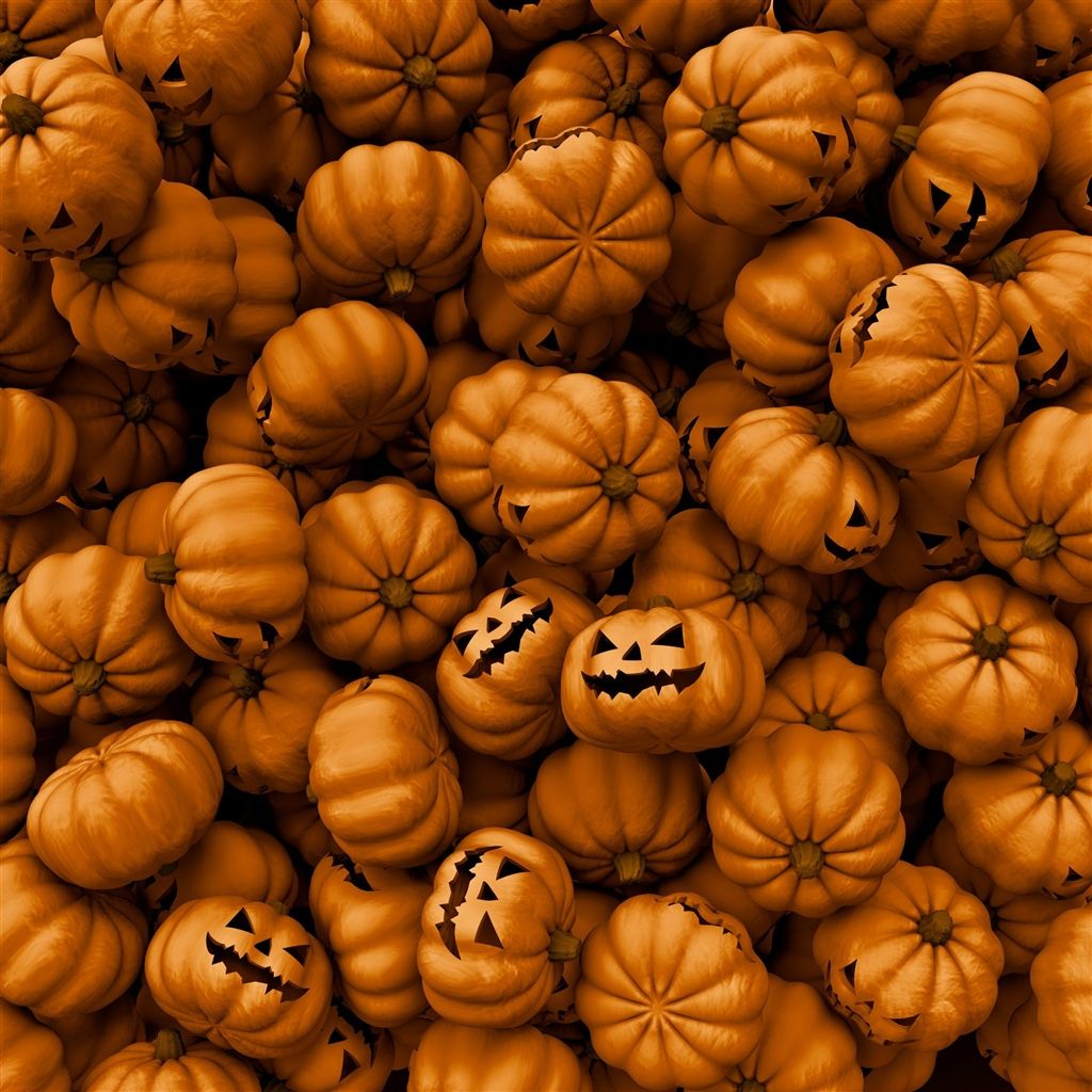 Pumpkin Wallpapers