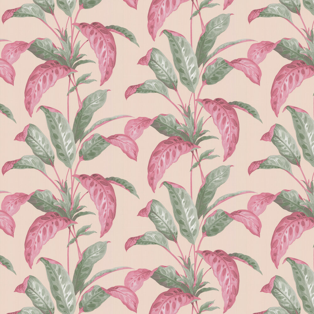Rhubarb Wallpapers