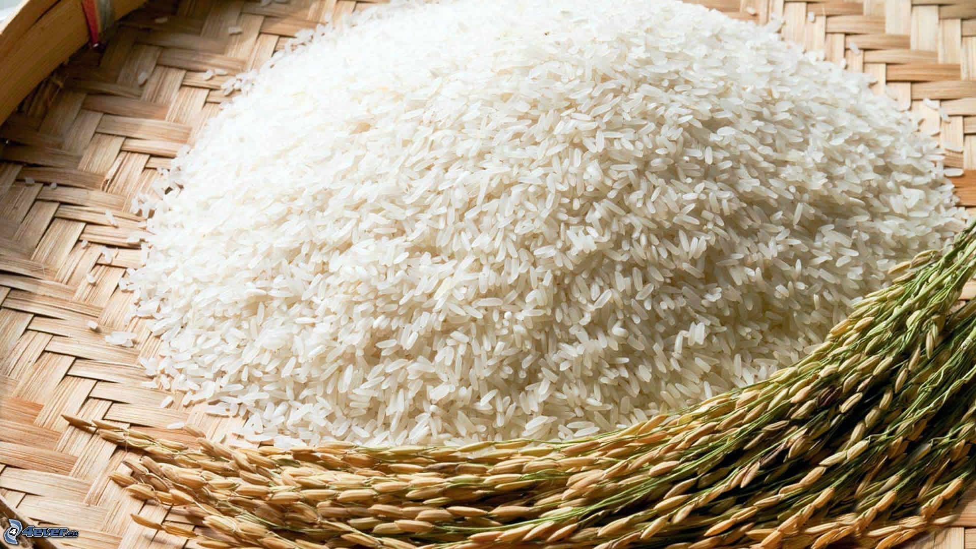 Rice Wallpapers