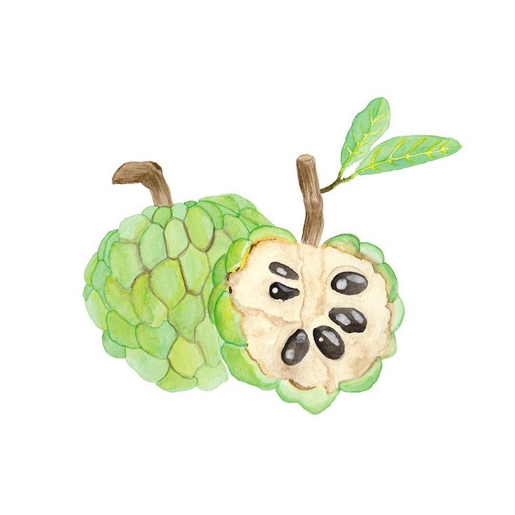 Sugar Apple Wallpapers