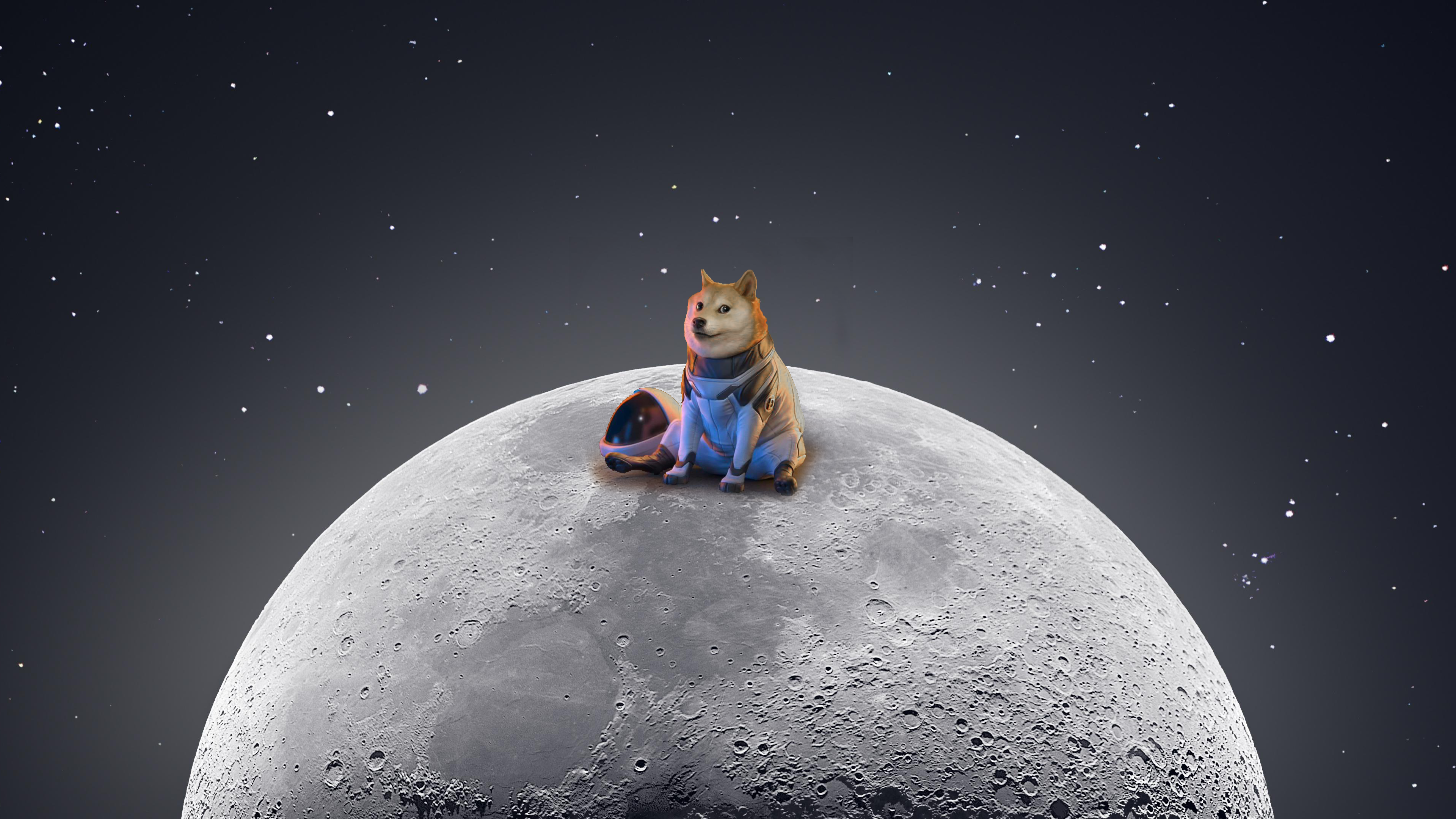 Dogecoin Wallpapers