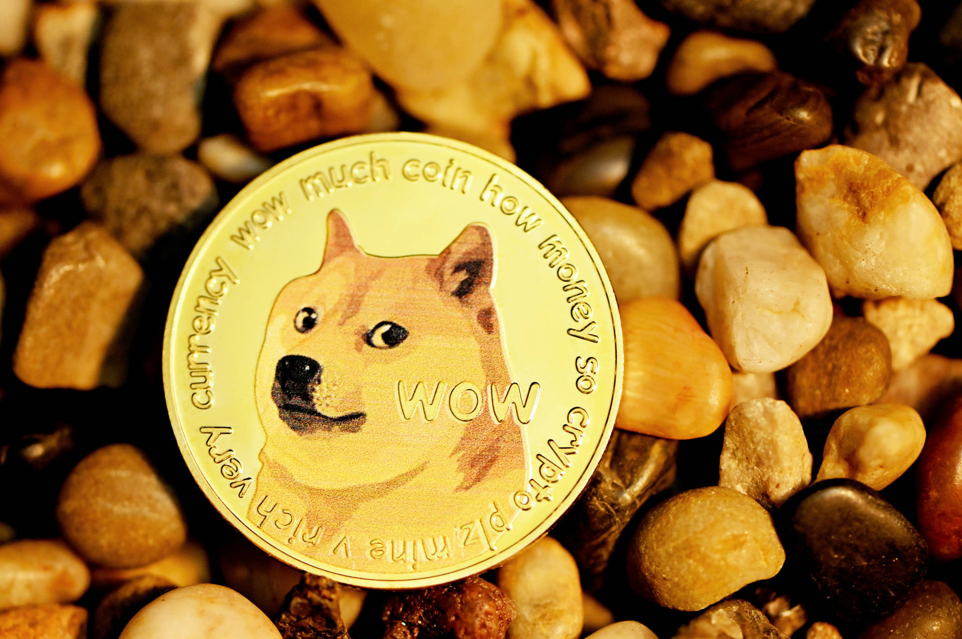 Dogecoin Money Wallpapers