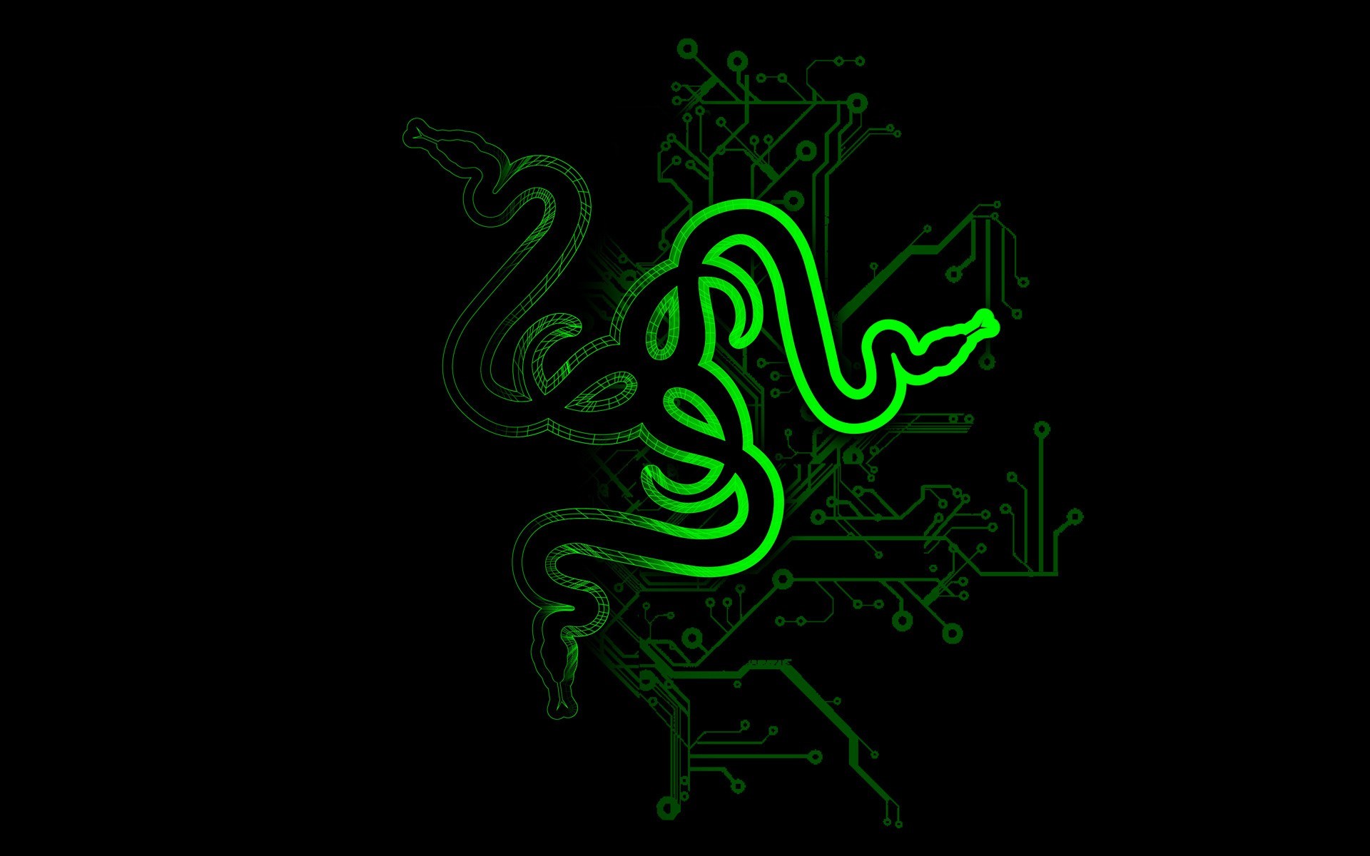 Green Python Hd Razer Wallpapers