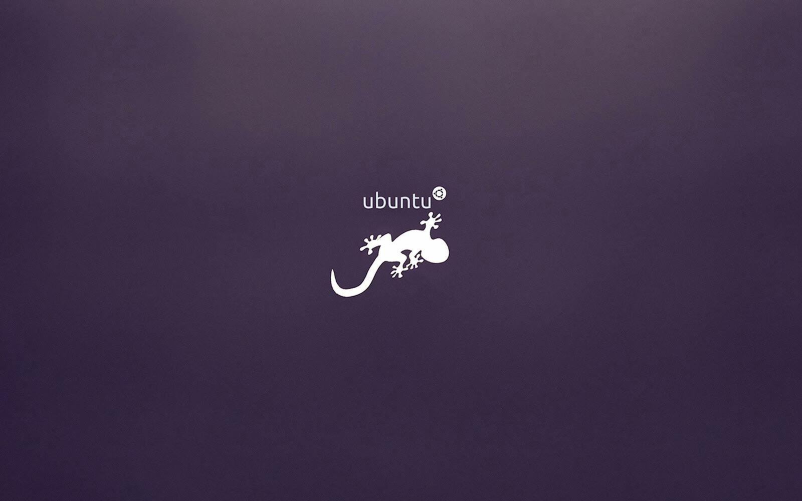 Groovy Gorilla Ubuntu 20 Wallpapers