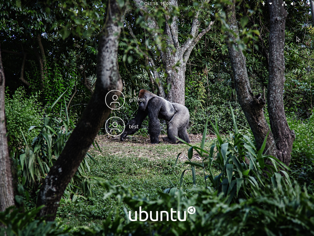 Groovy Gorilla Ubuntu 20 Wallpapers