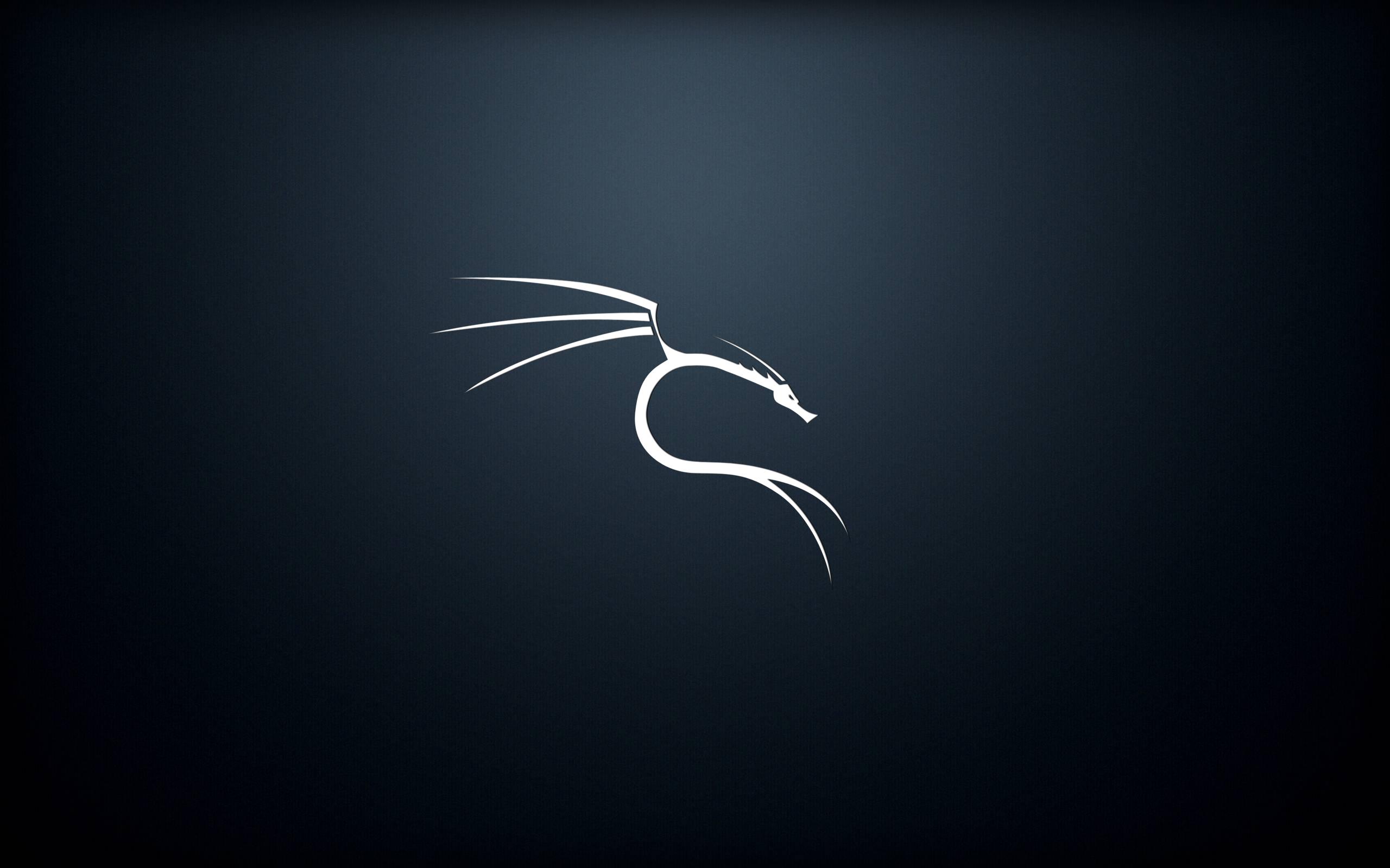 Kali Linux Wallpapers