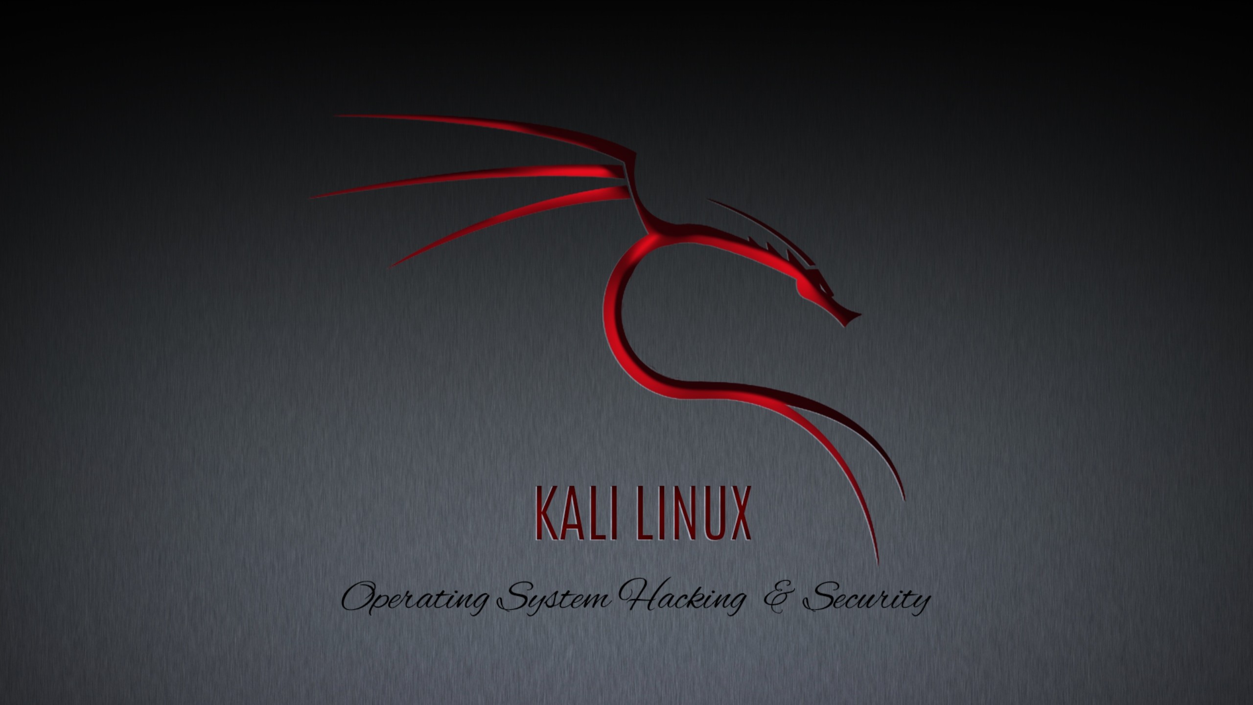 Kali Linux Matrix Wallpapers