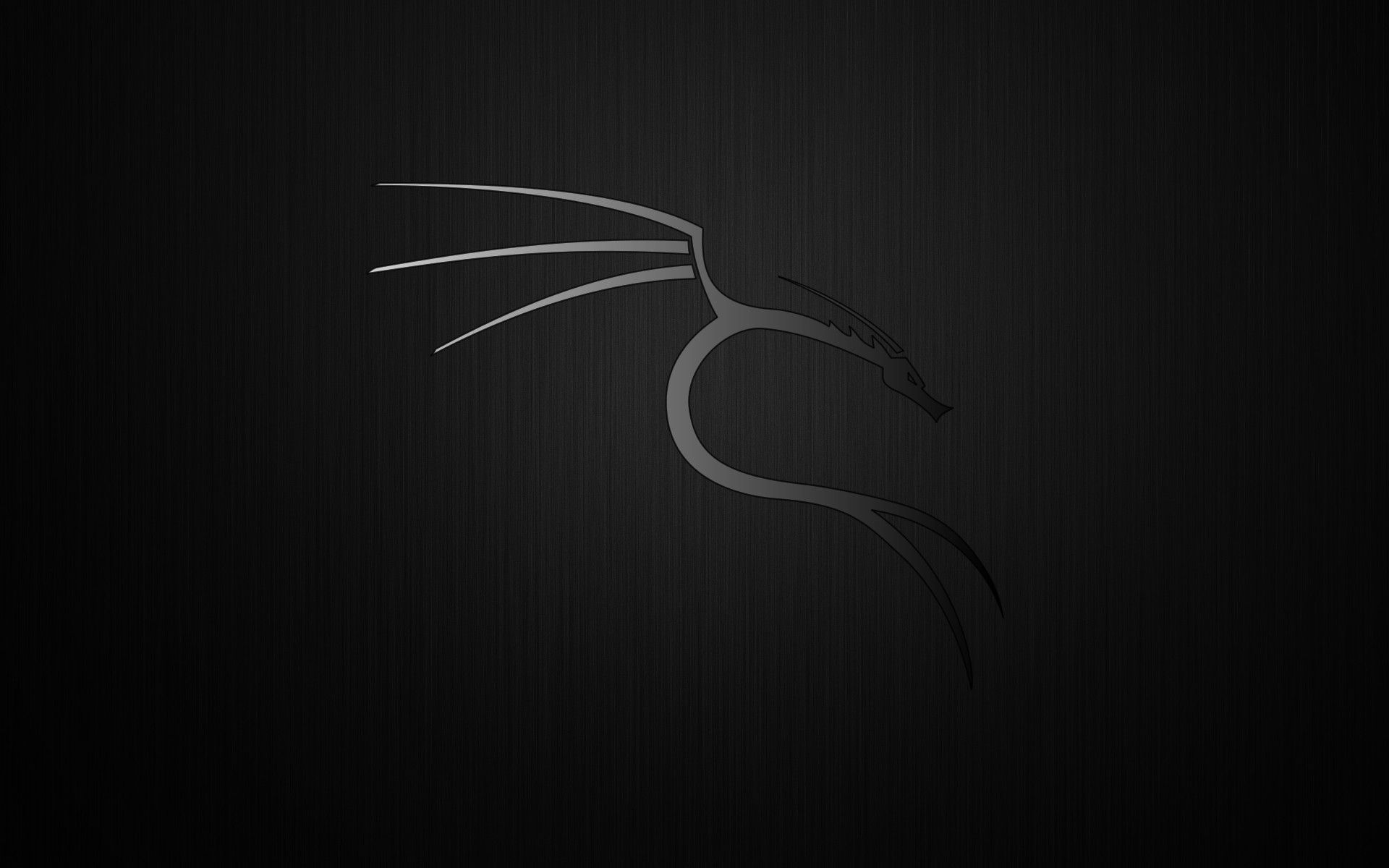 Kali Linux Matrix Wallpapers