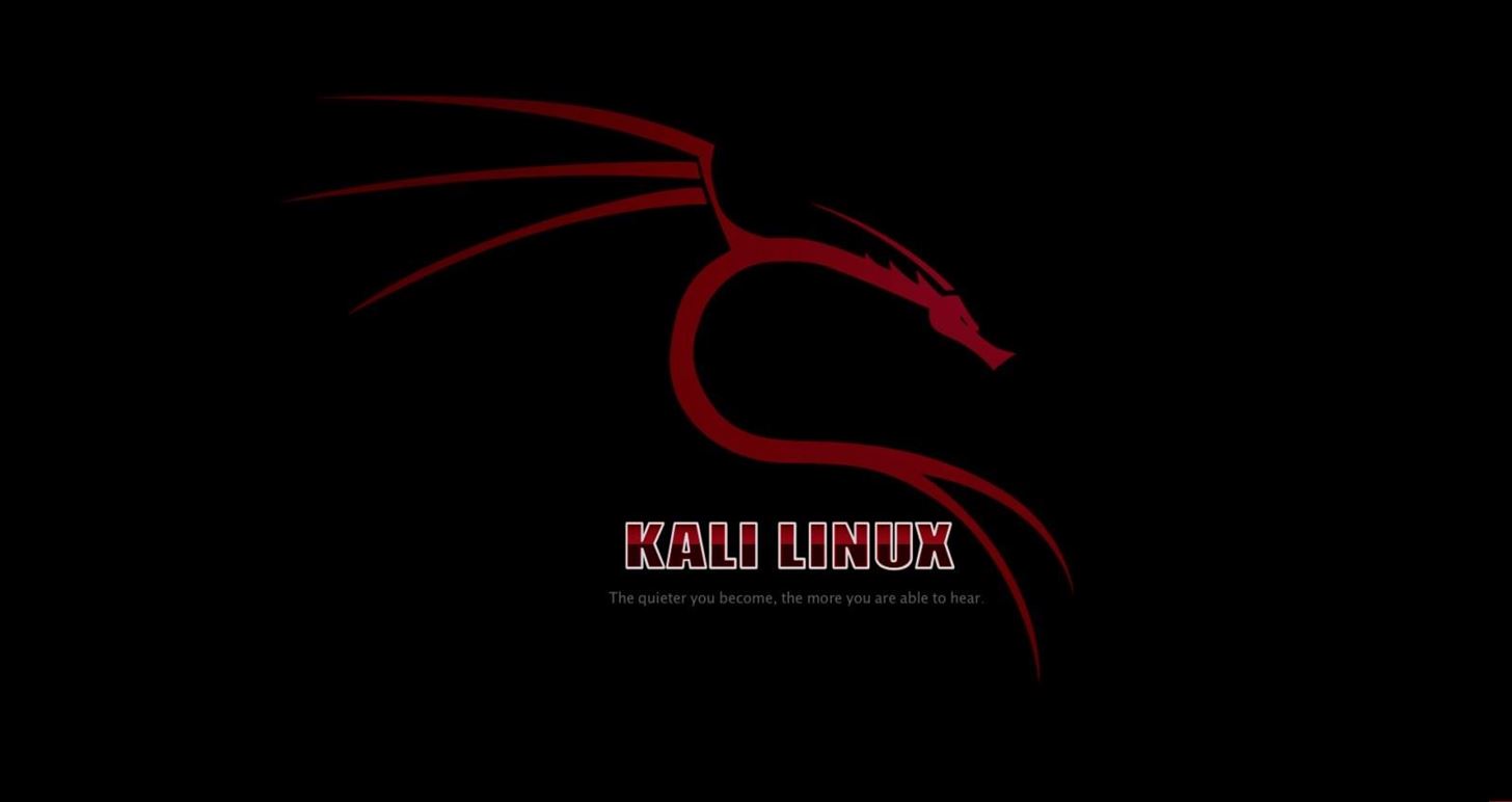 Kali Linux Matrix Wallpapers