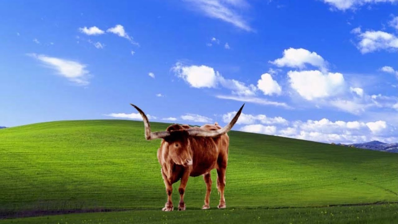 Microsoft Longhorn Wallpapers