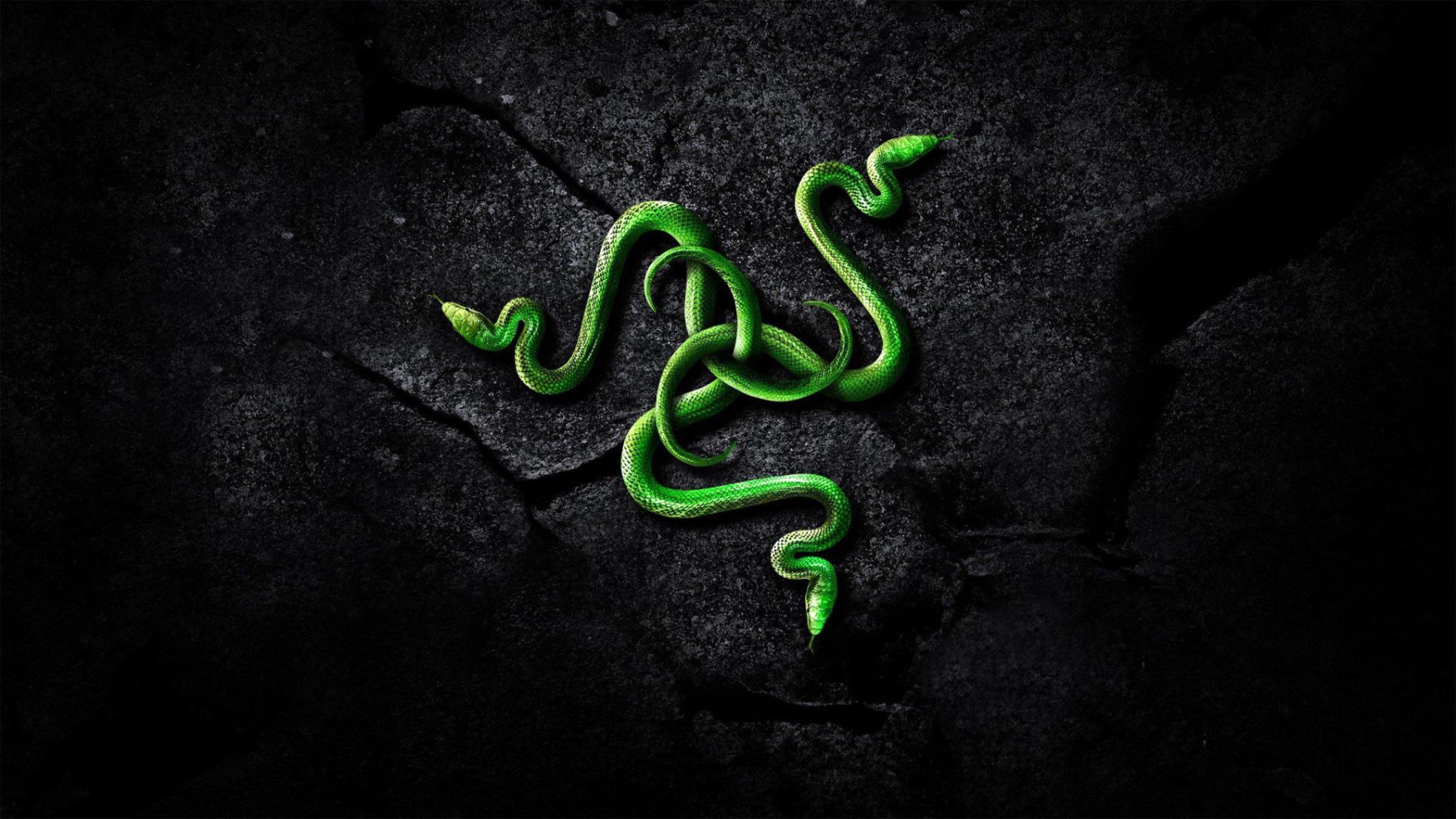 Razer 4K Logo Art Wallpapers