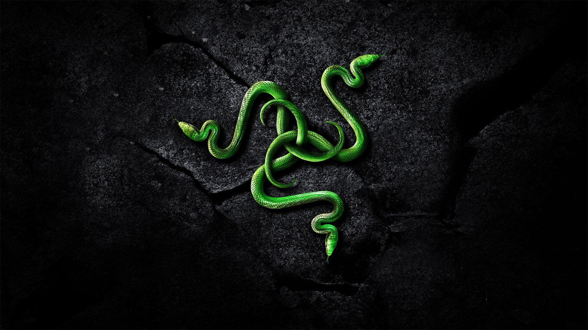 Razer Gamer Wallpapers