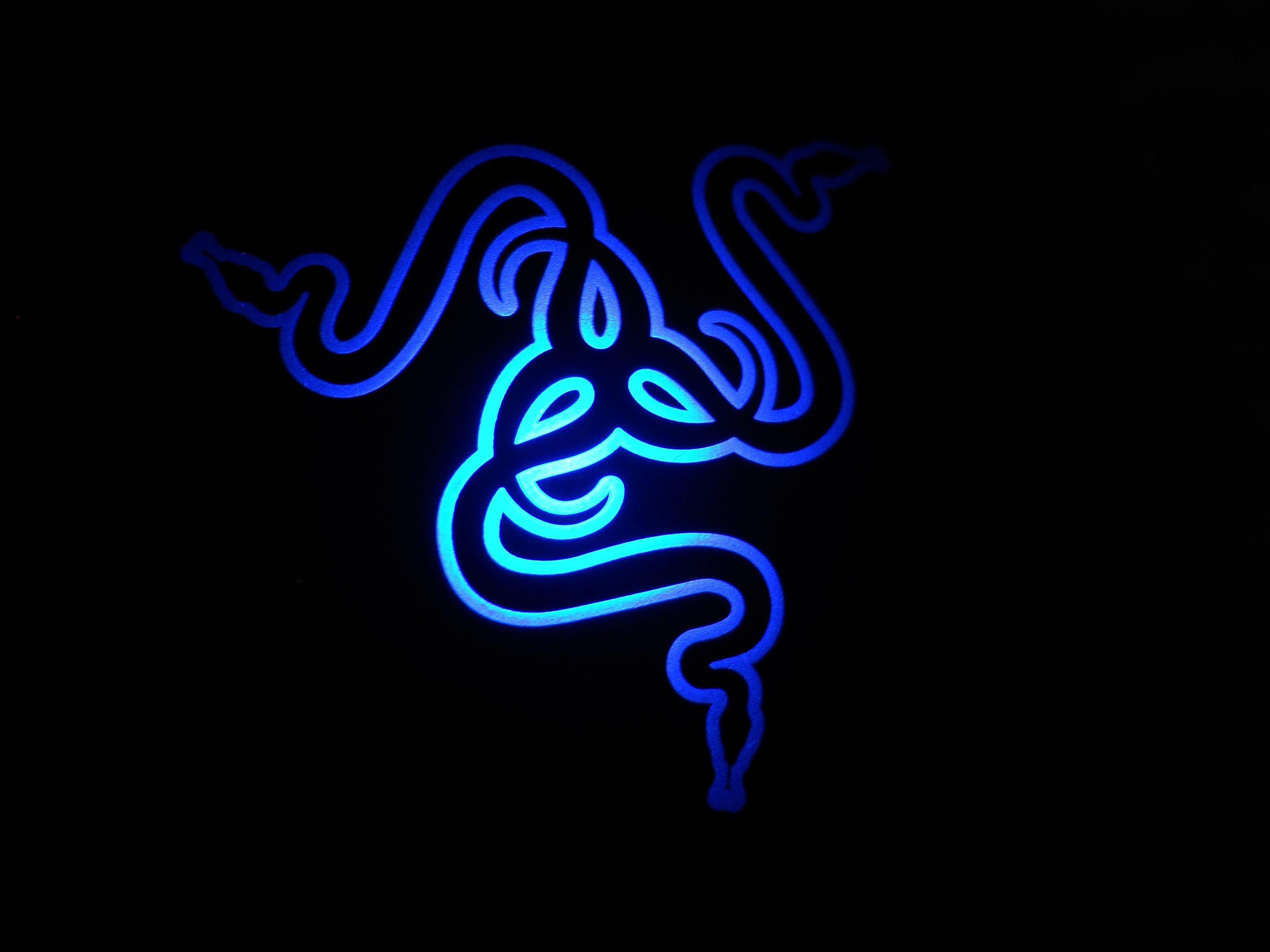 Razer Gamer Logo Wallpapers