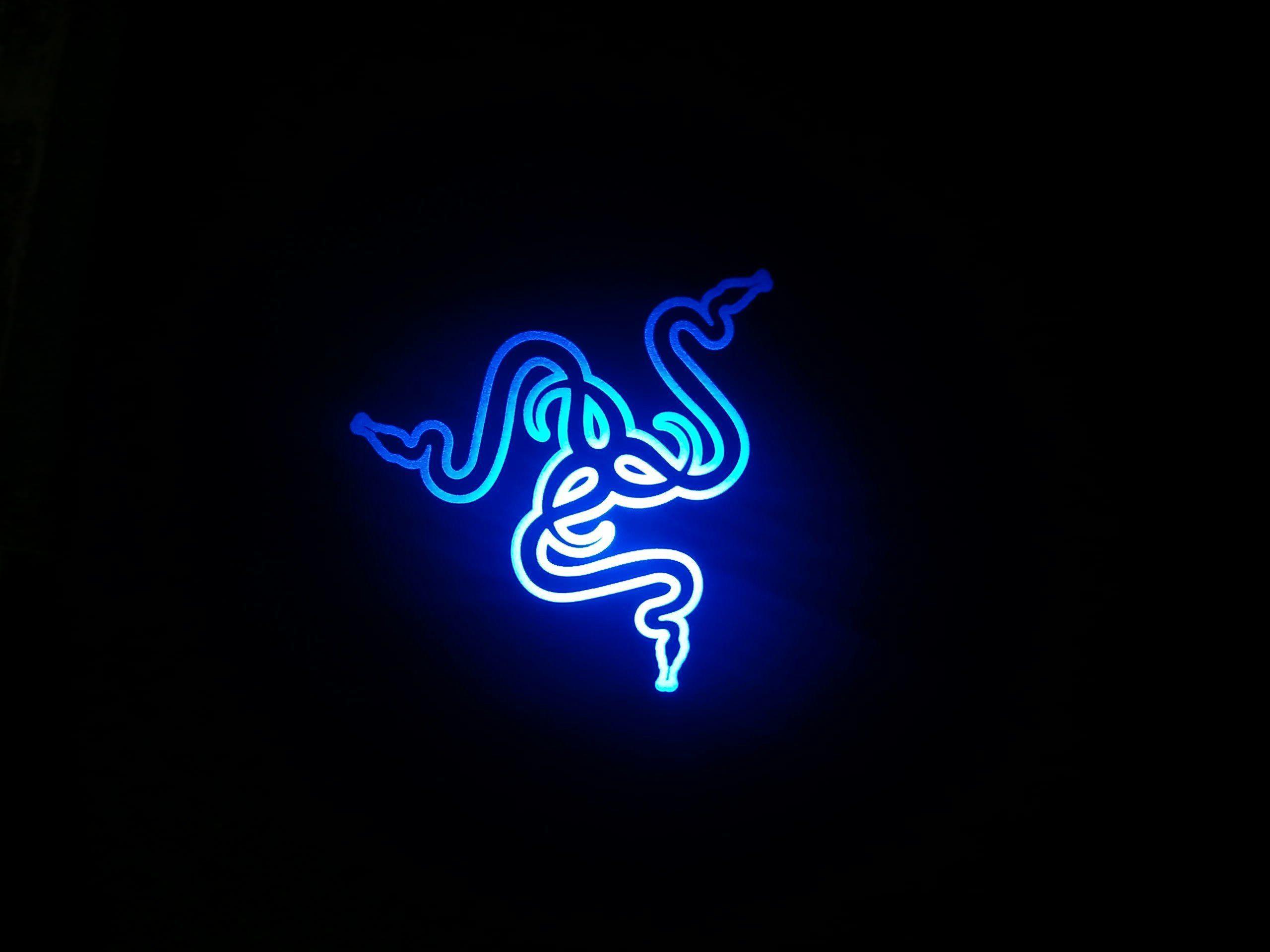 Razer Gamer Logo Wallpapers