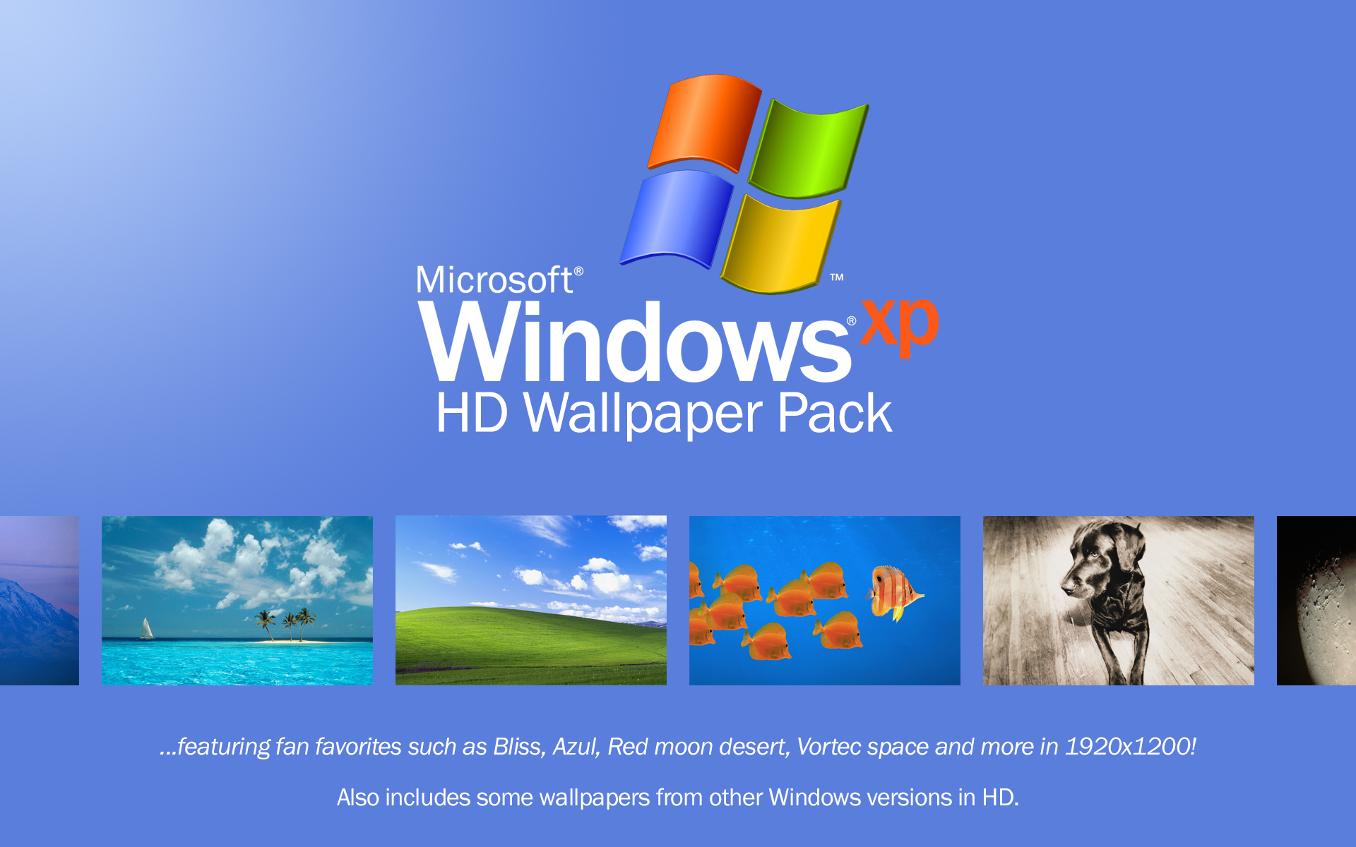 Windows Xp Wallpapers