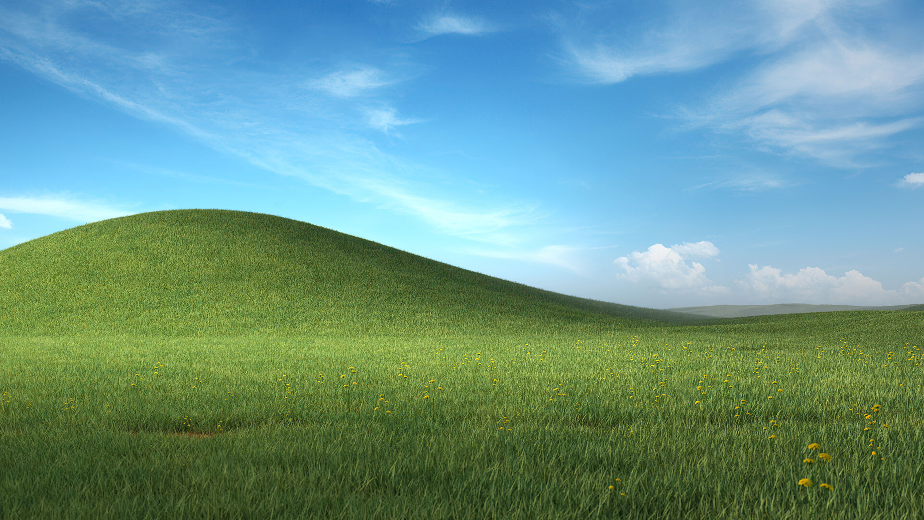 Windows Xp Wallpapers