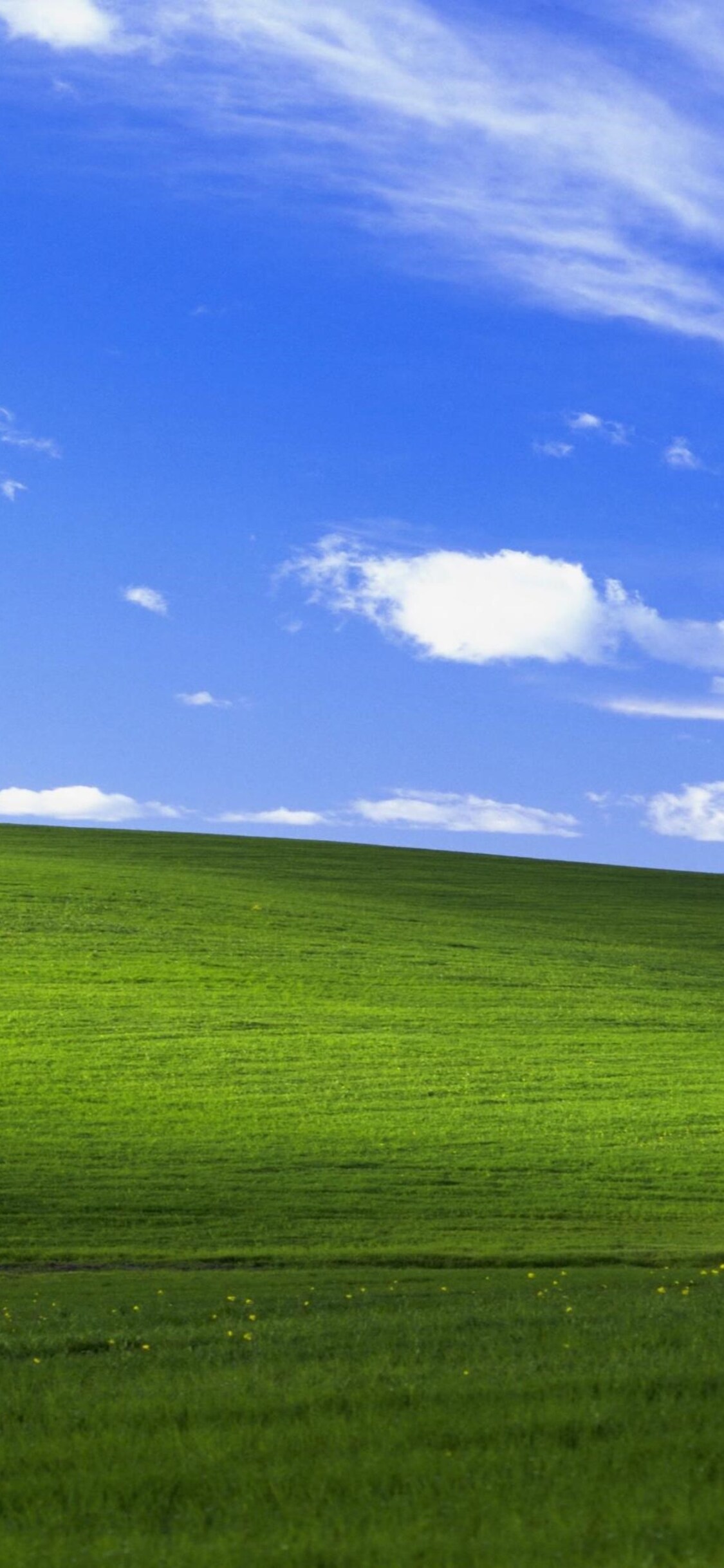 Windows Xp Wallpapers