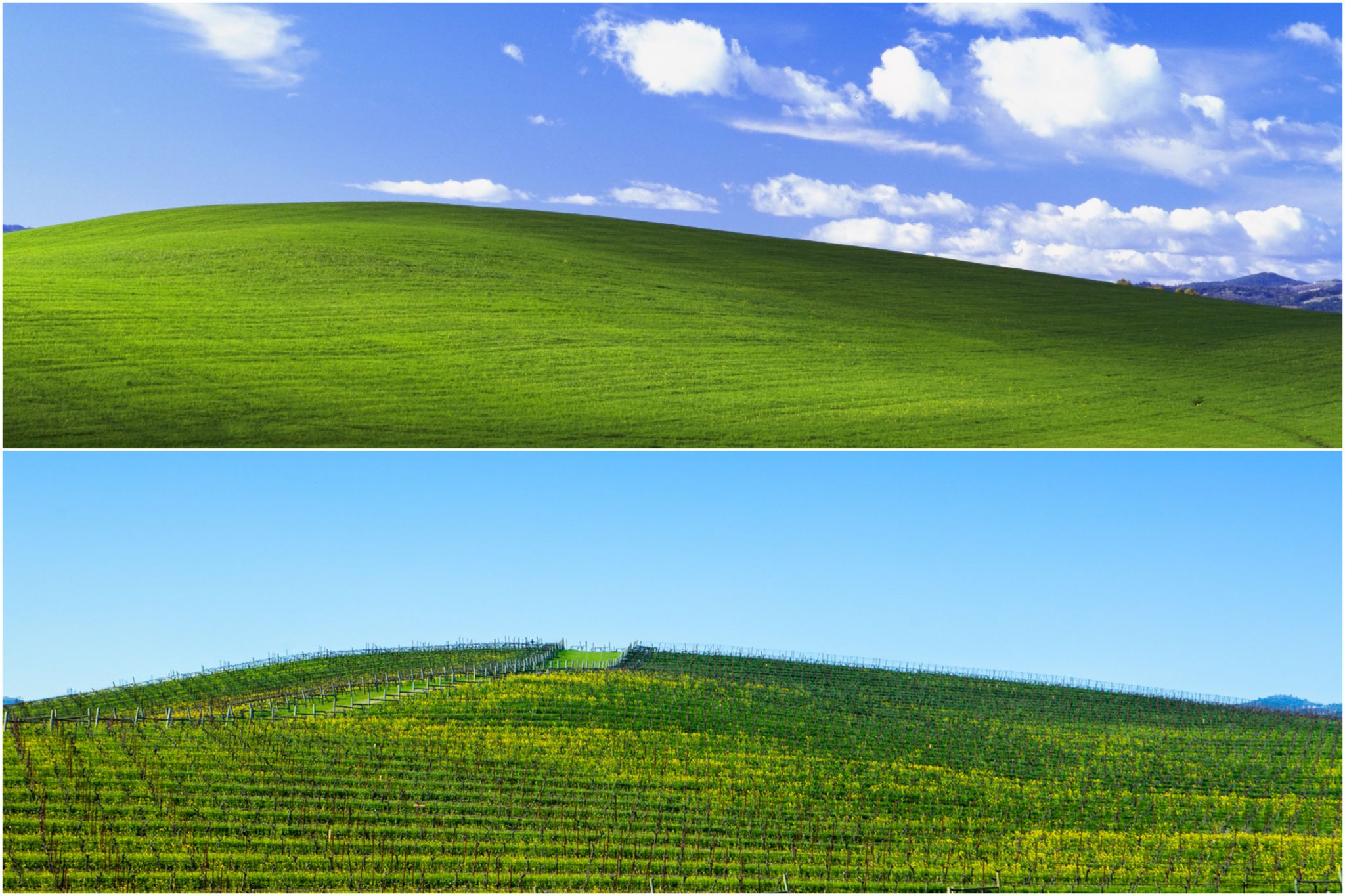 Windows Xp Wallpapers