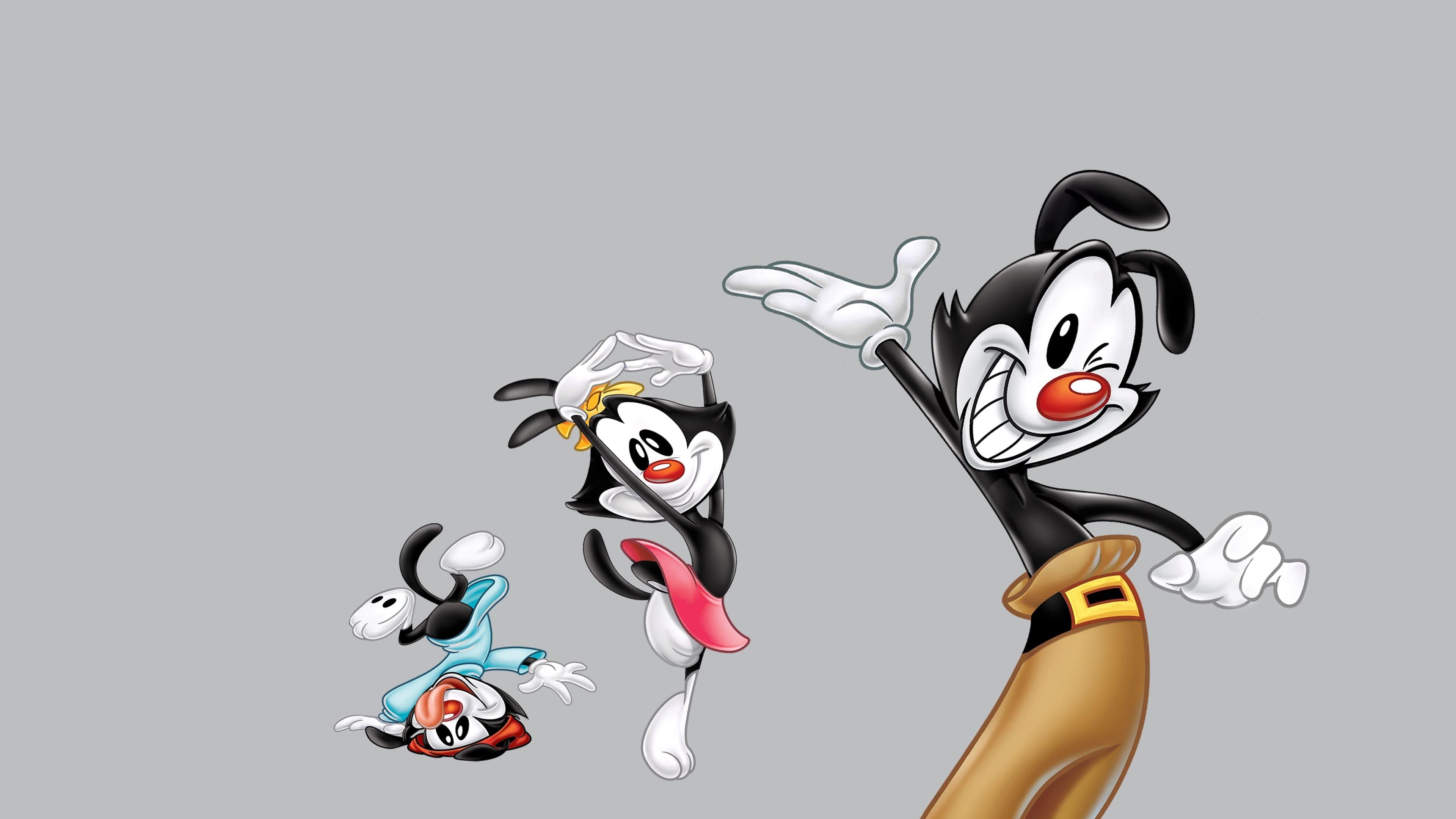 Animaniacs Wallpapers