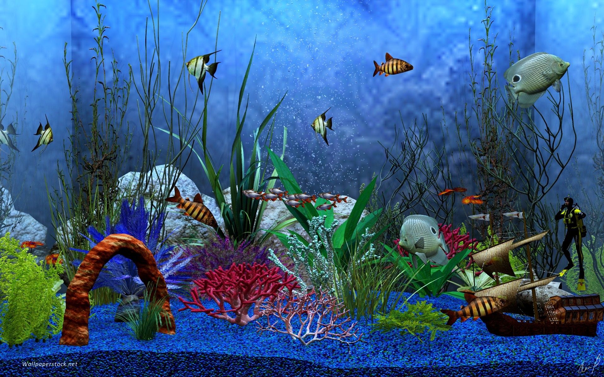 Cartoon Aquarium Wallpapers