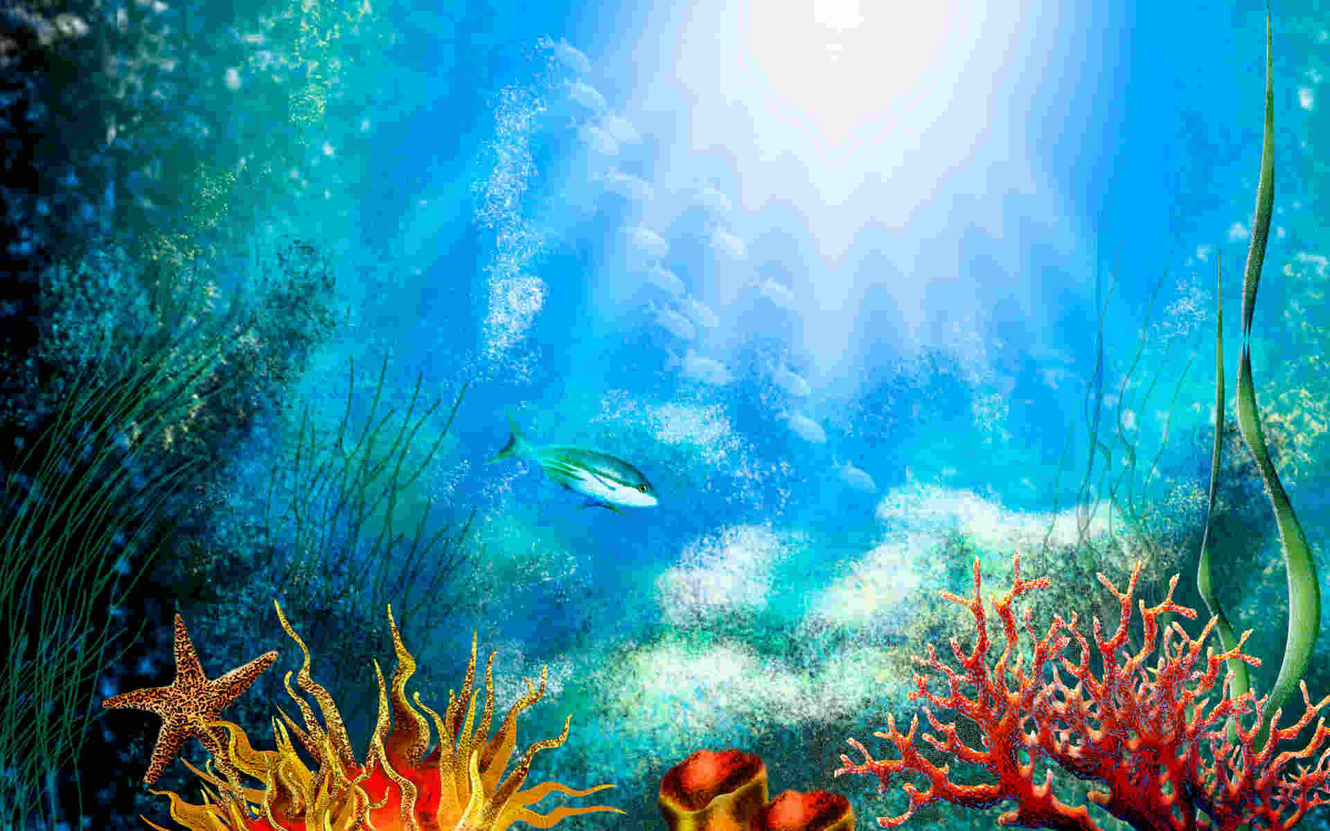 Cartoon Aquarium Wallpapers