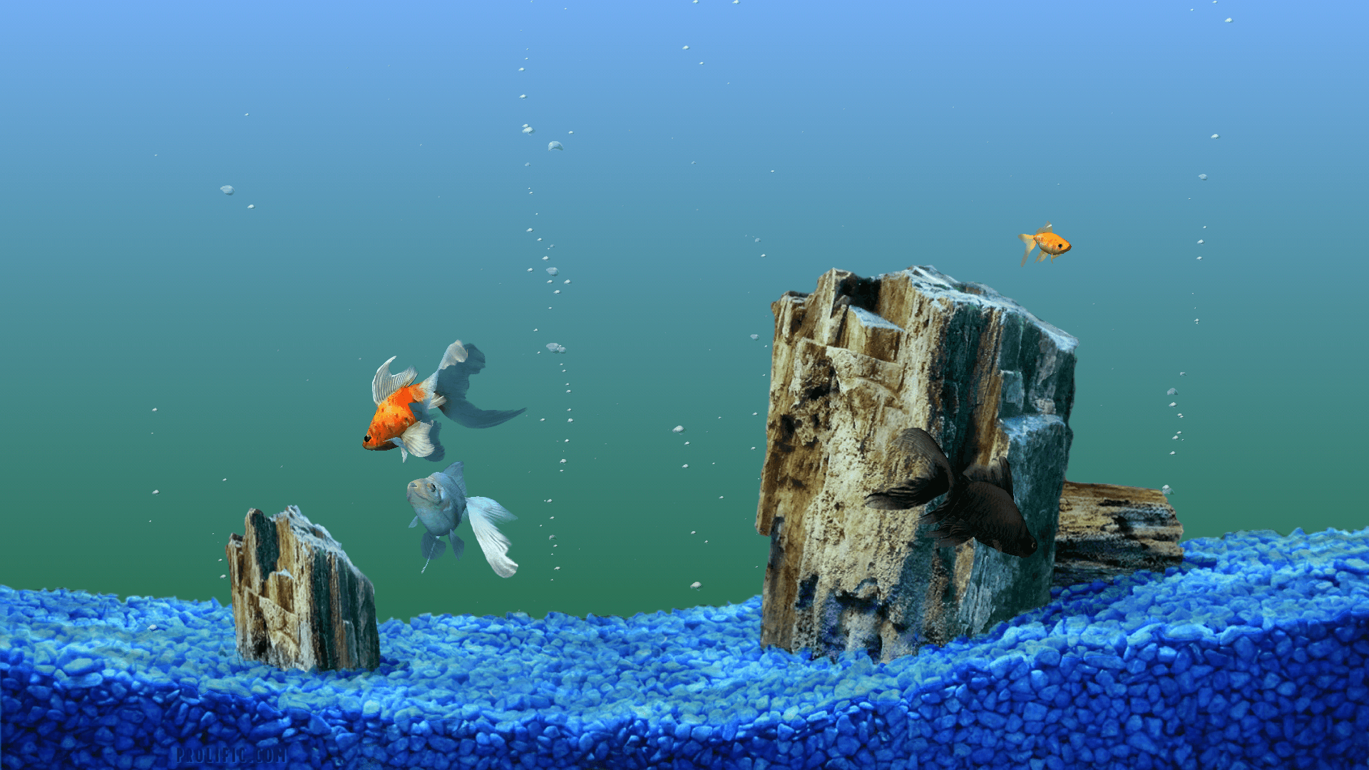 Cartoon Aquarium Wallpapers