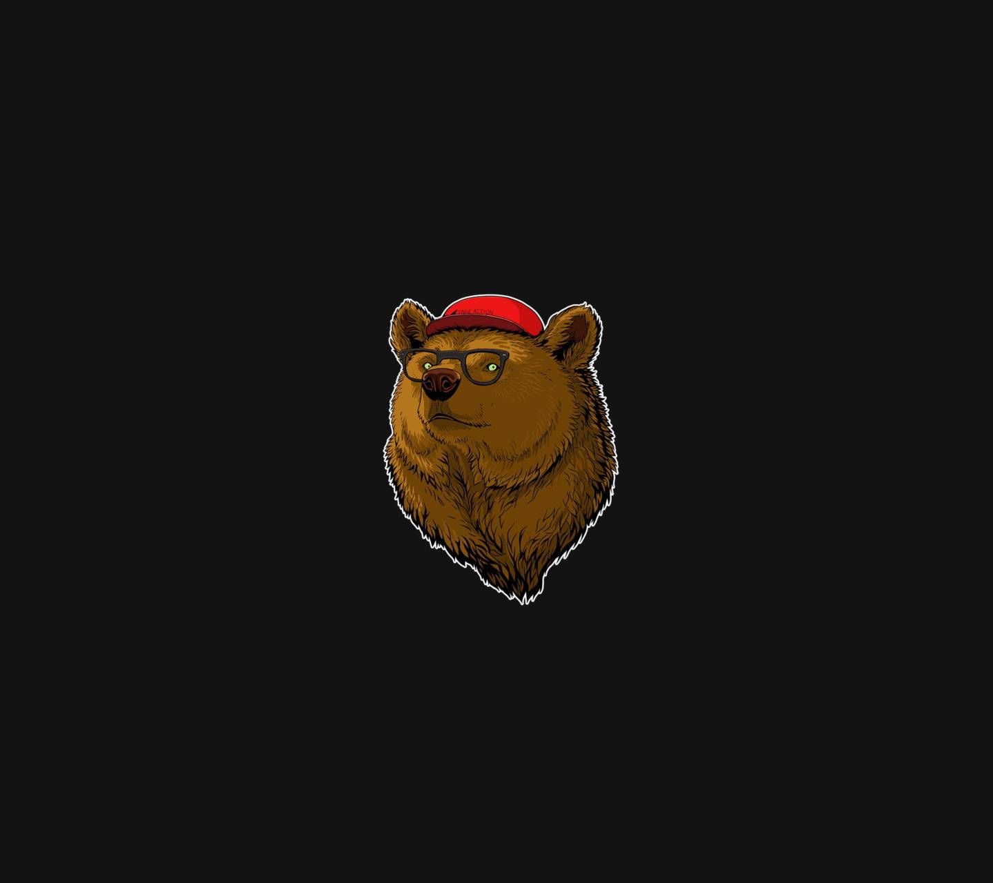 Cartoon Bear Wallpapers