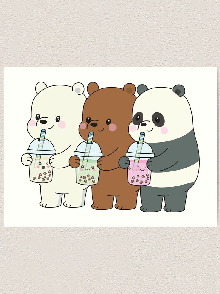 Cartoon Bear Wallpapers