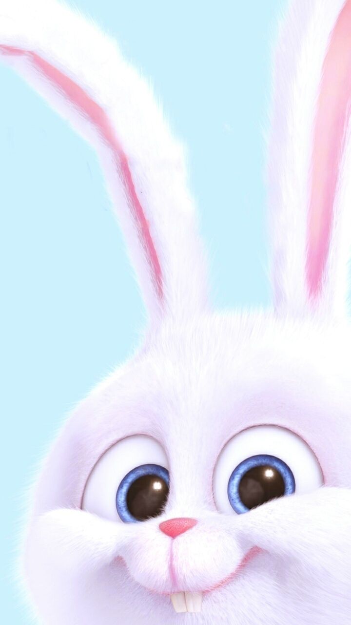 Cartoon Bunny Wallpapers