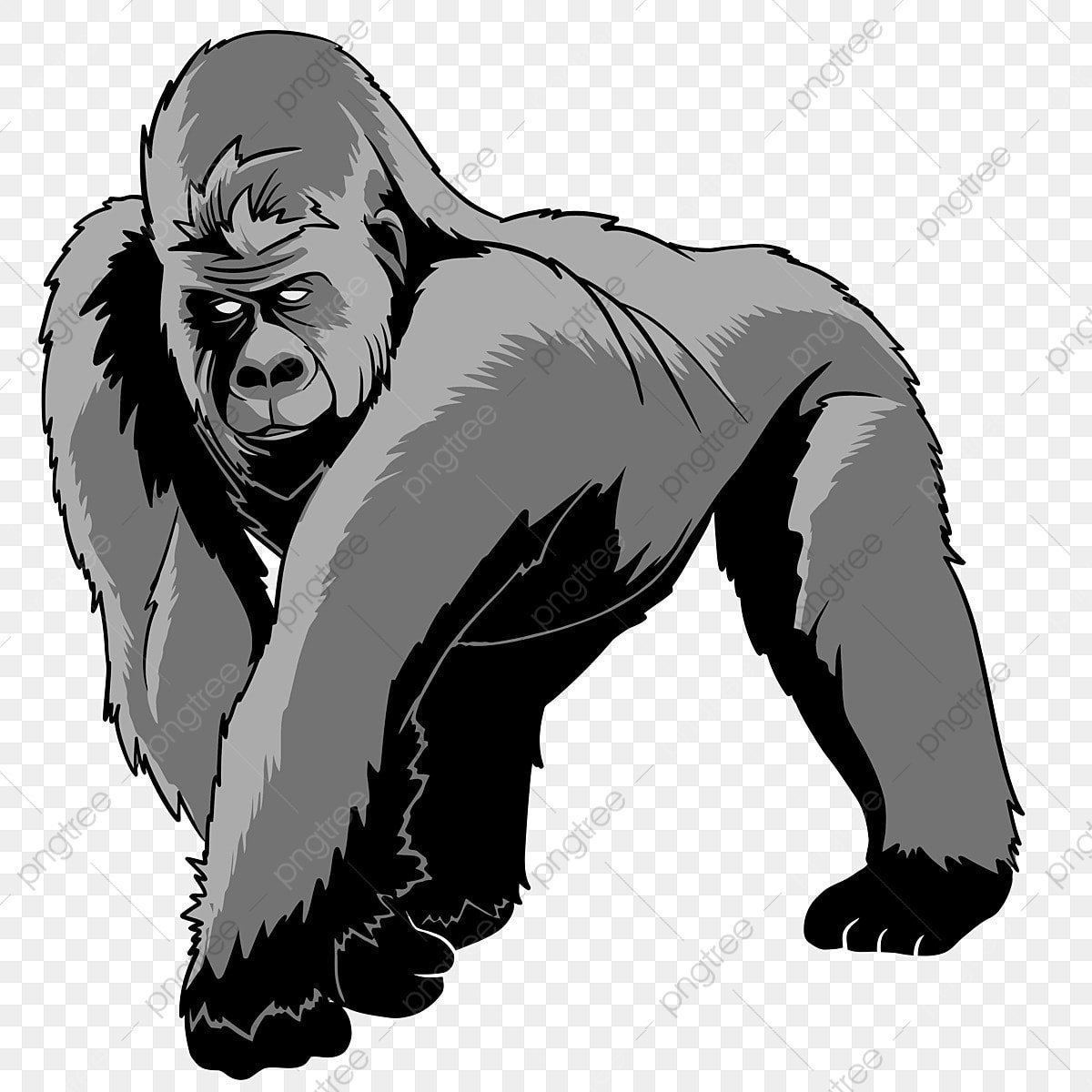 Cartoon Gorilla Wallpapers