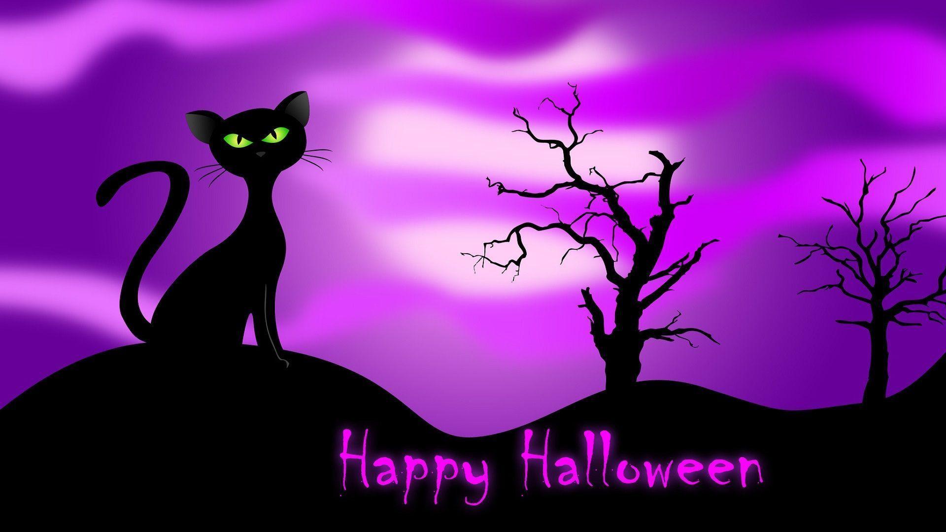 Cartoon Halloween Cat Desktop Wallpapers