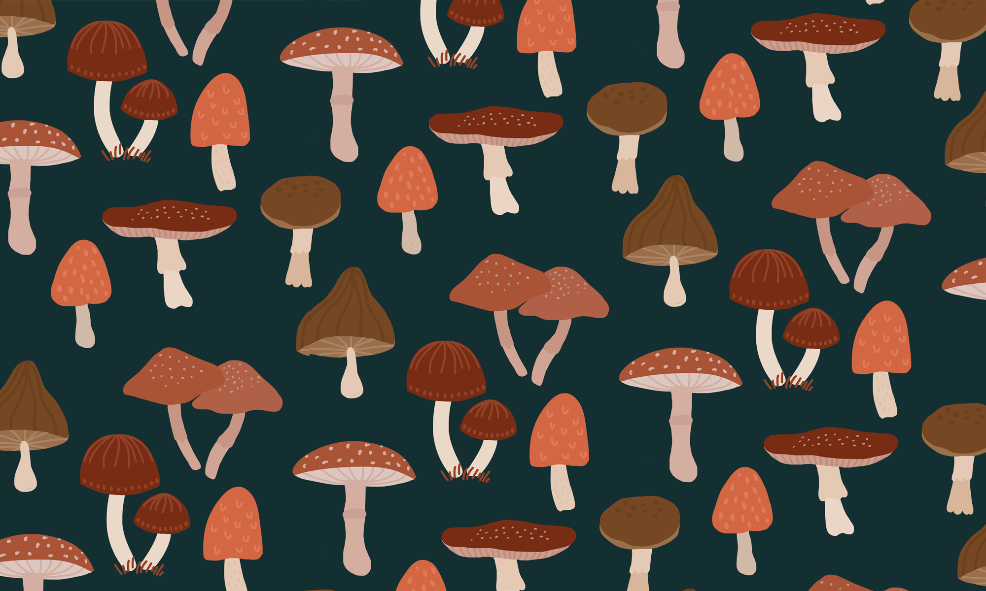 Cartoon Mushroom Wallpapers