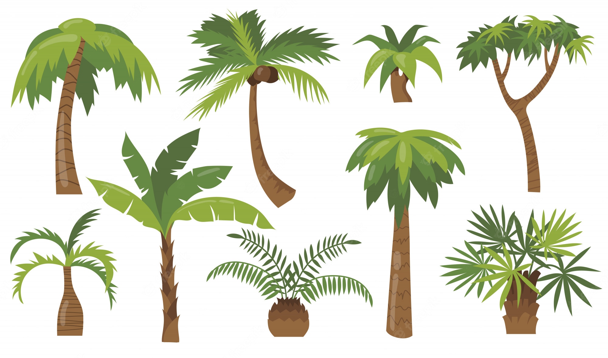 Cartoon Palm Tree Wallpapers