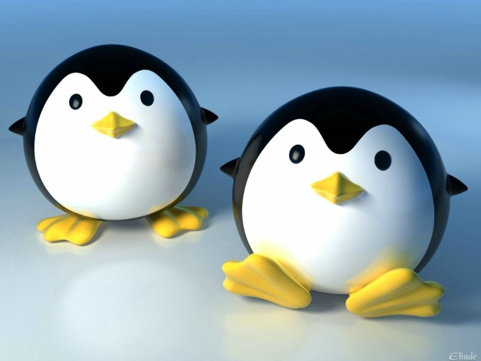 Cartoon Penguin Wallpapers