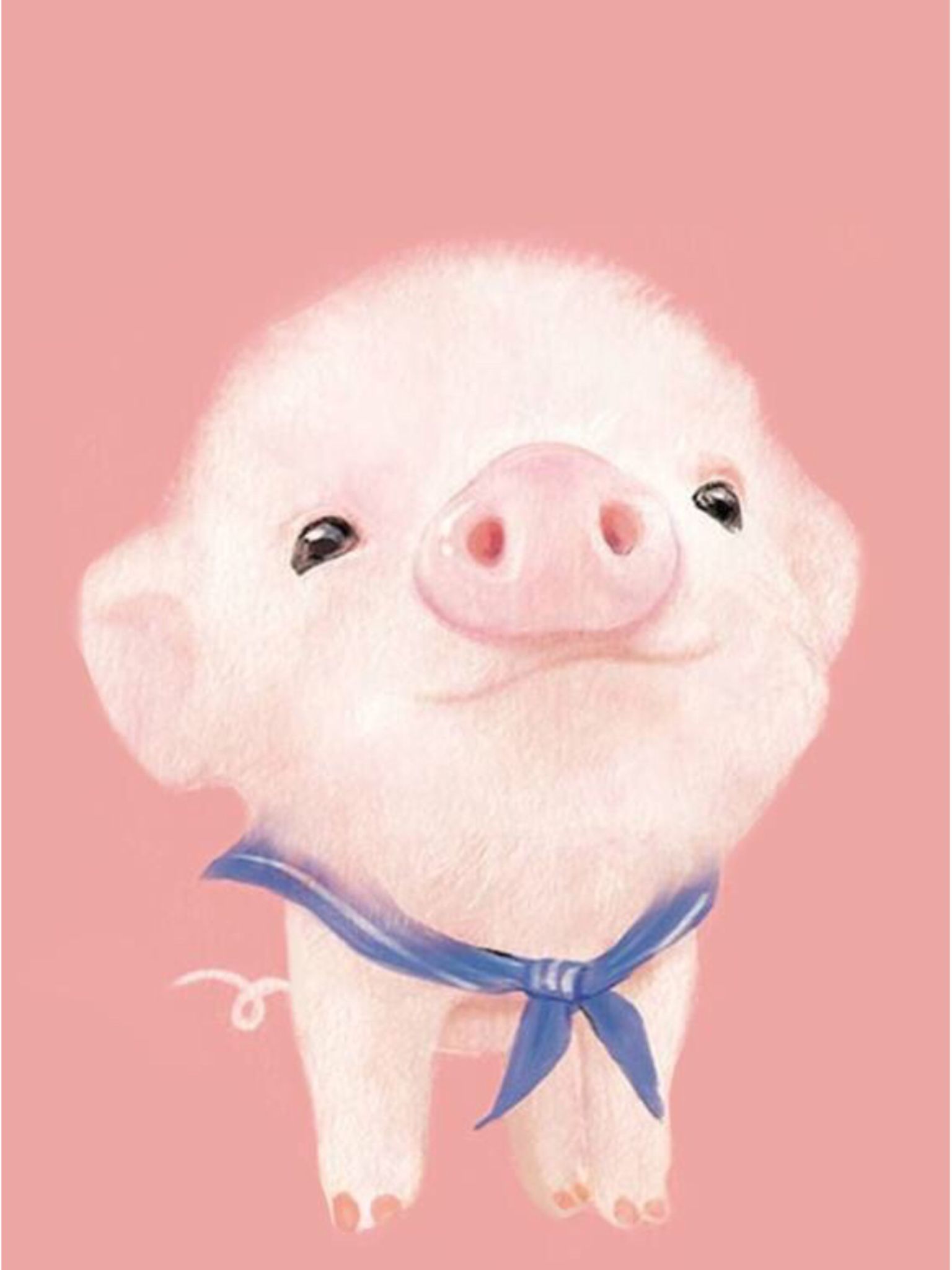 Cartoon Pig Gif Wallpapers