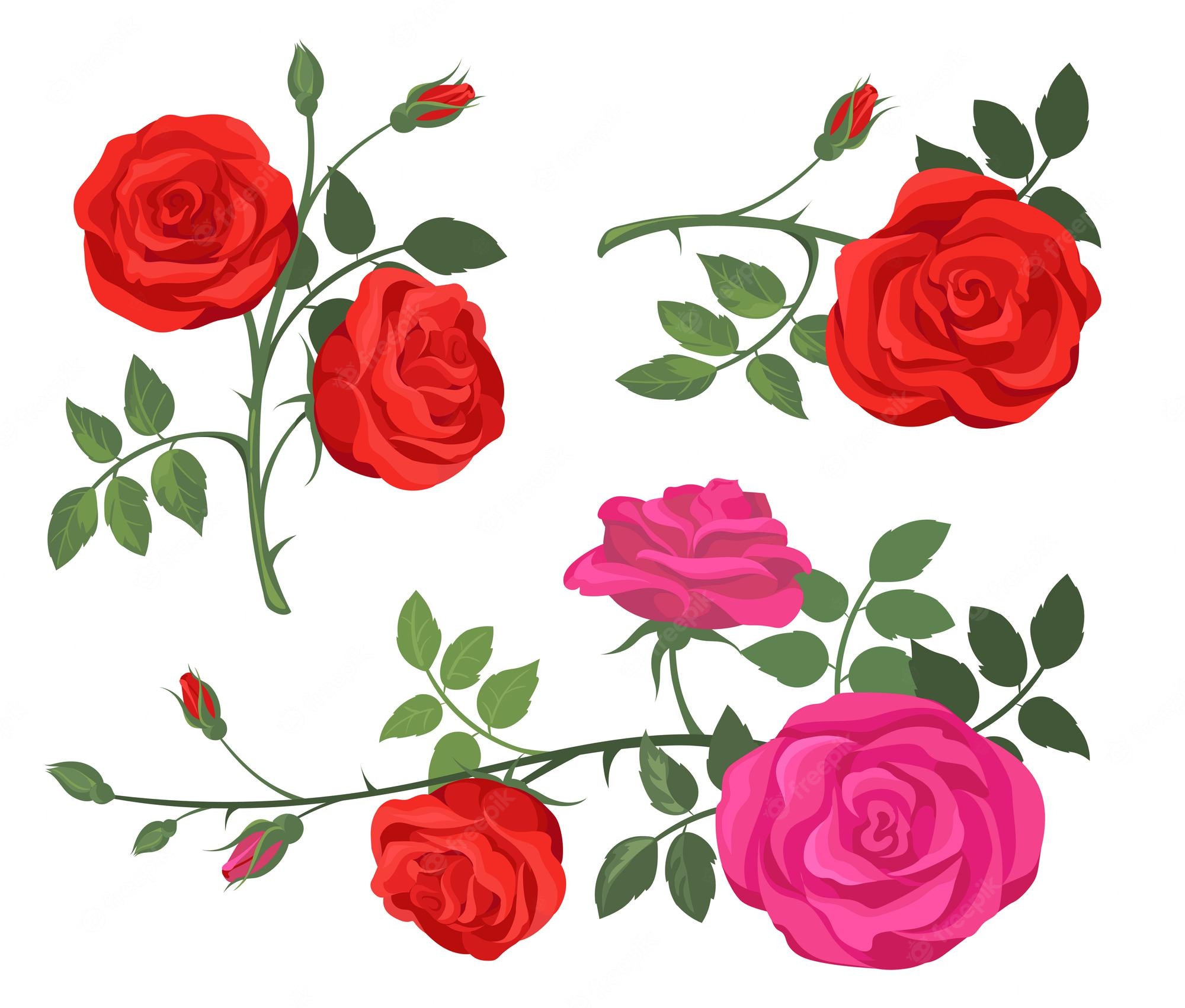 Cartoon Rose Wallpapers